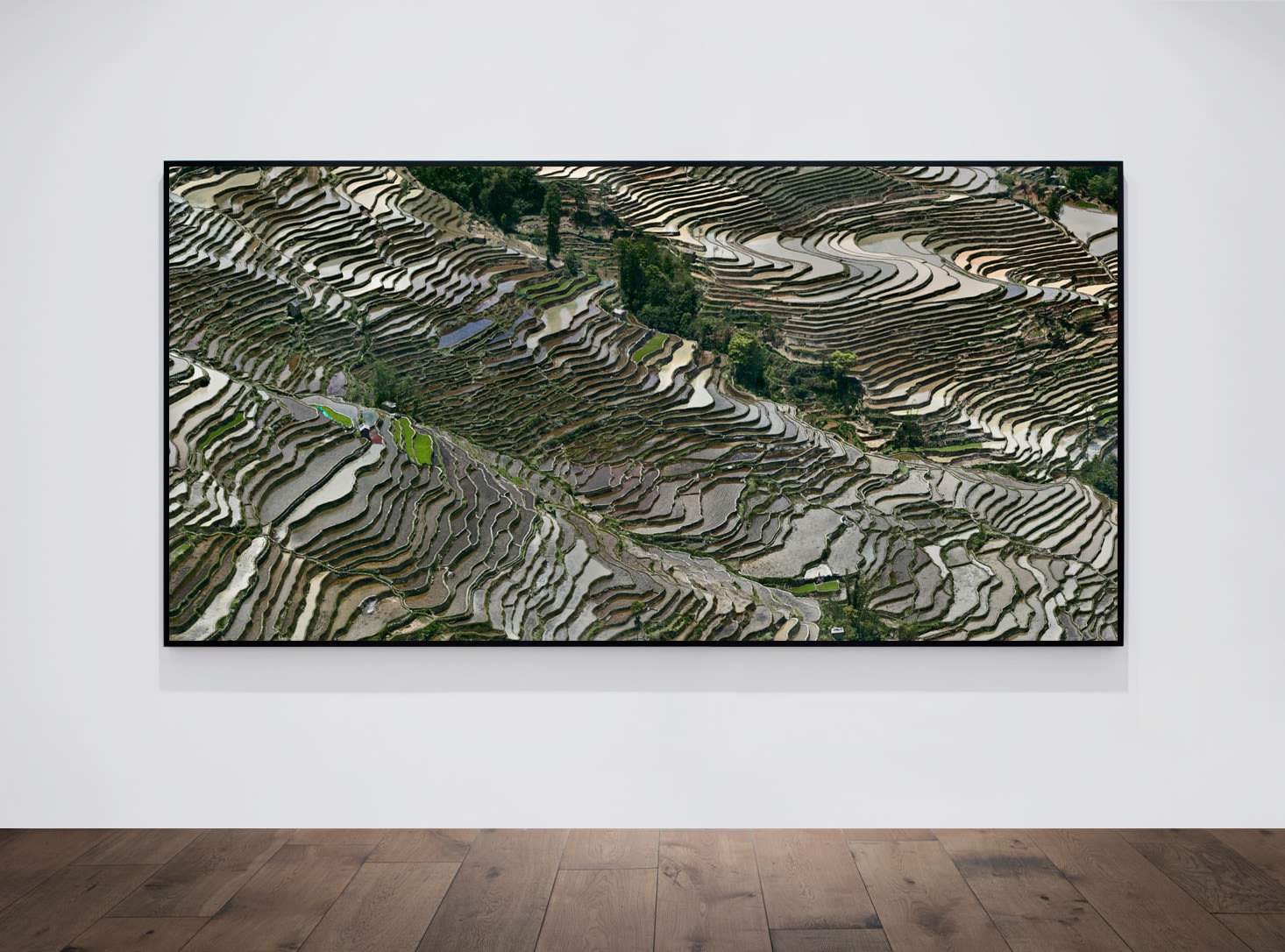 Edward Burtynsky, Rice Terraces #3C, Western Yunnan Province, China, 2012