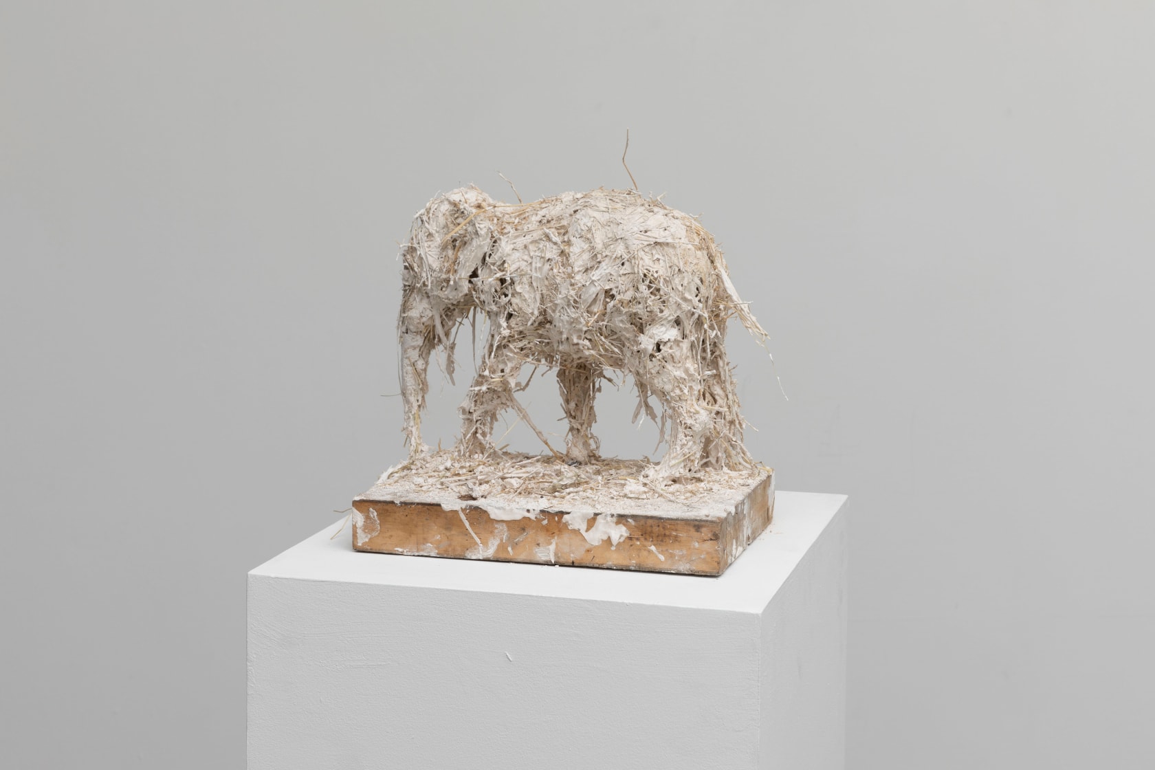 Nicola Hicks, Elephant, 2019