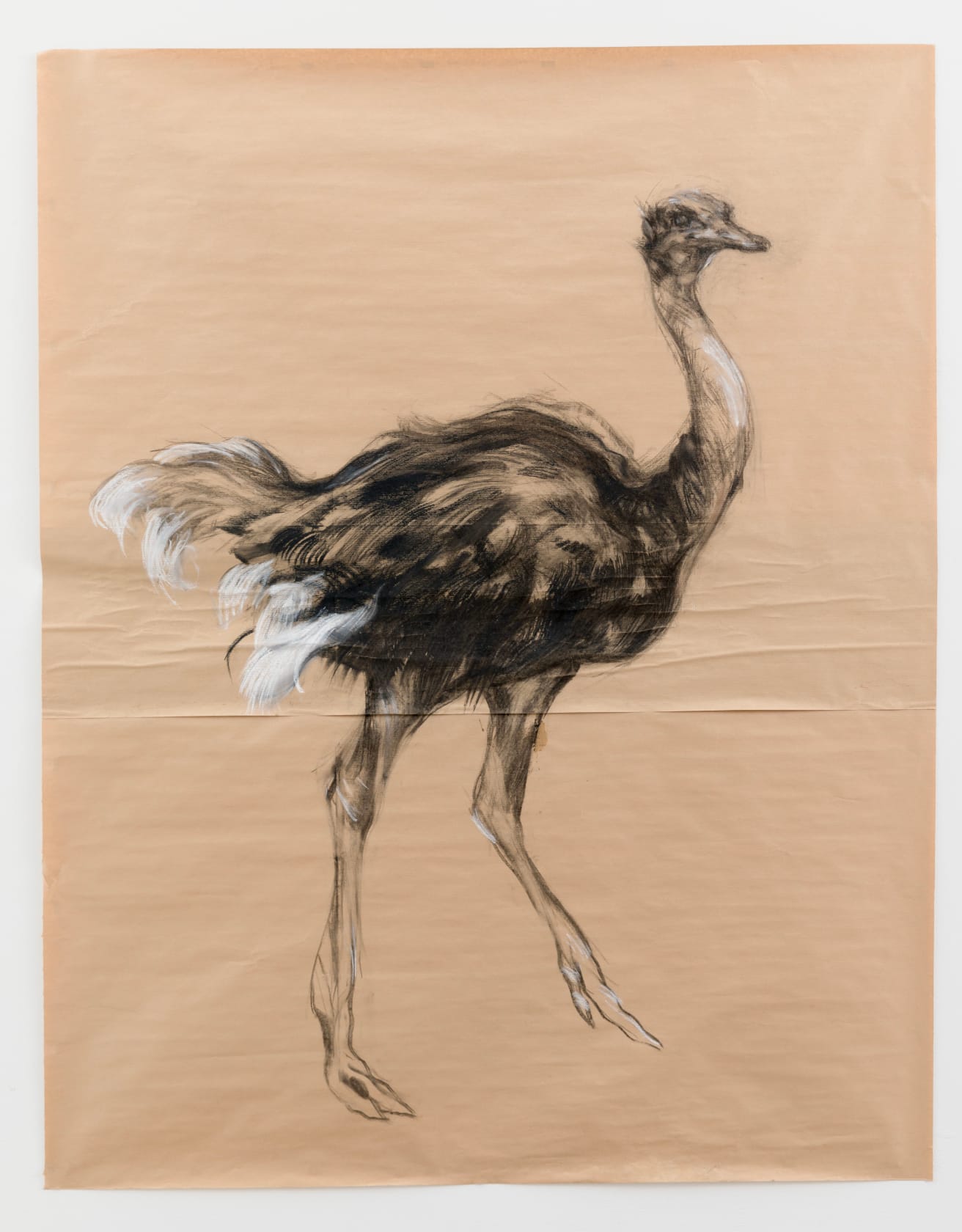 Nicola Hicks, Ostrich, 2012