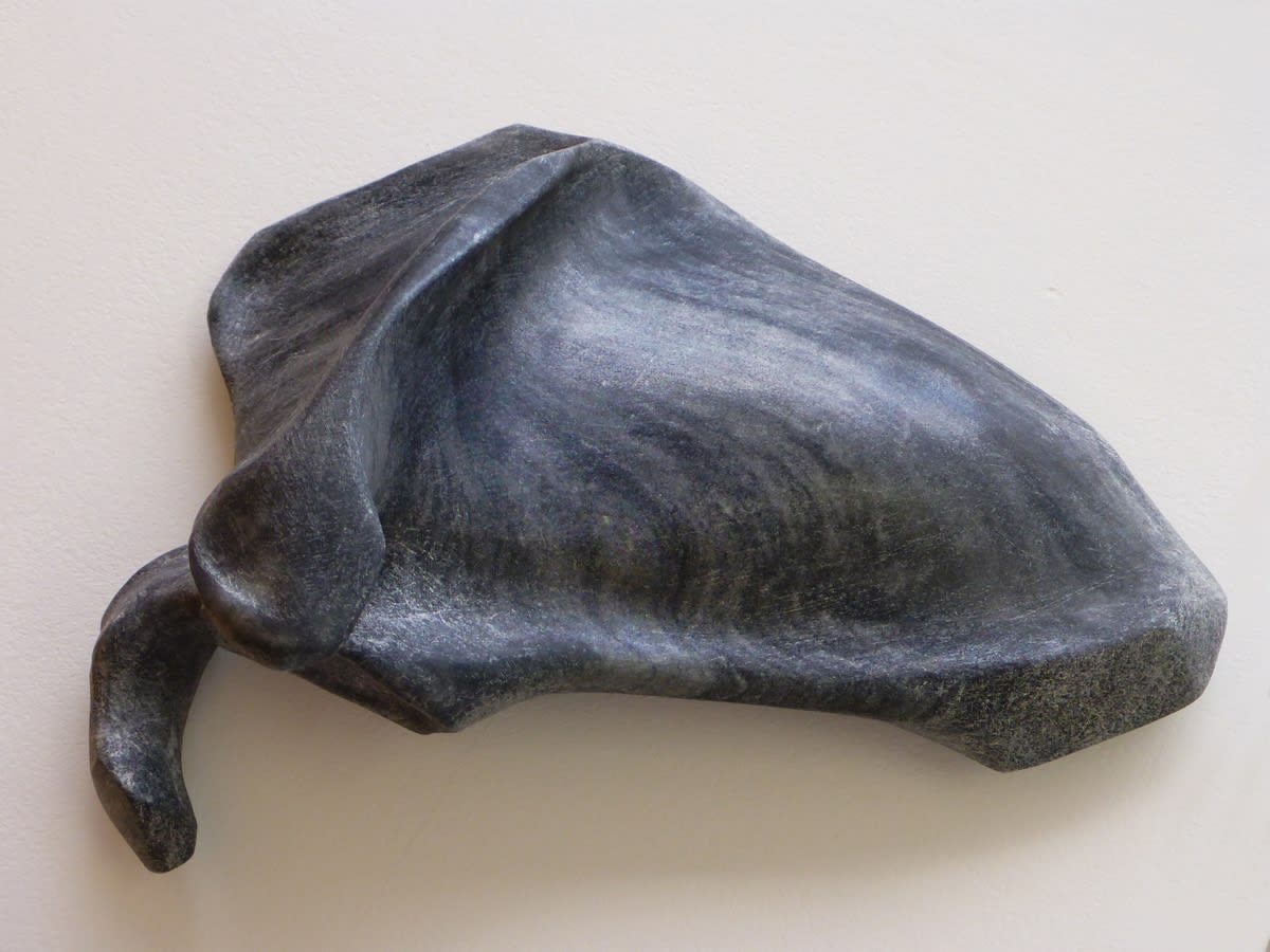 Stephen Shaheen Bone (Scapula), 2015