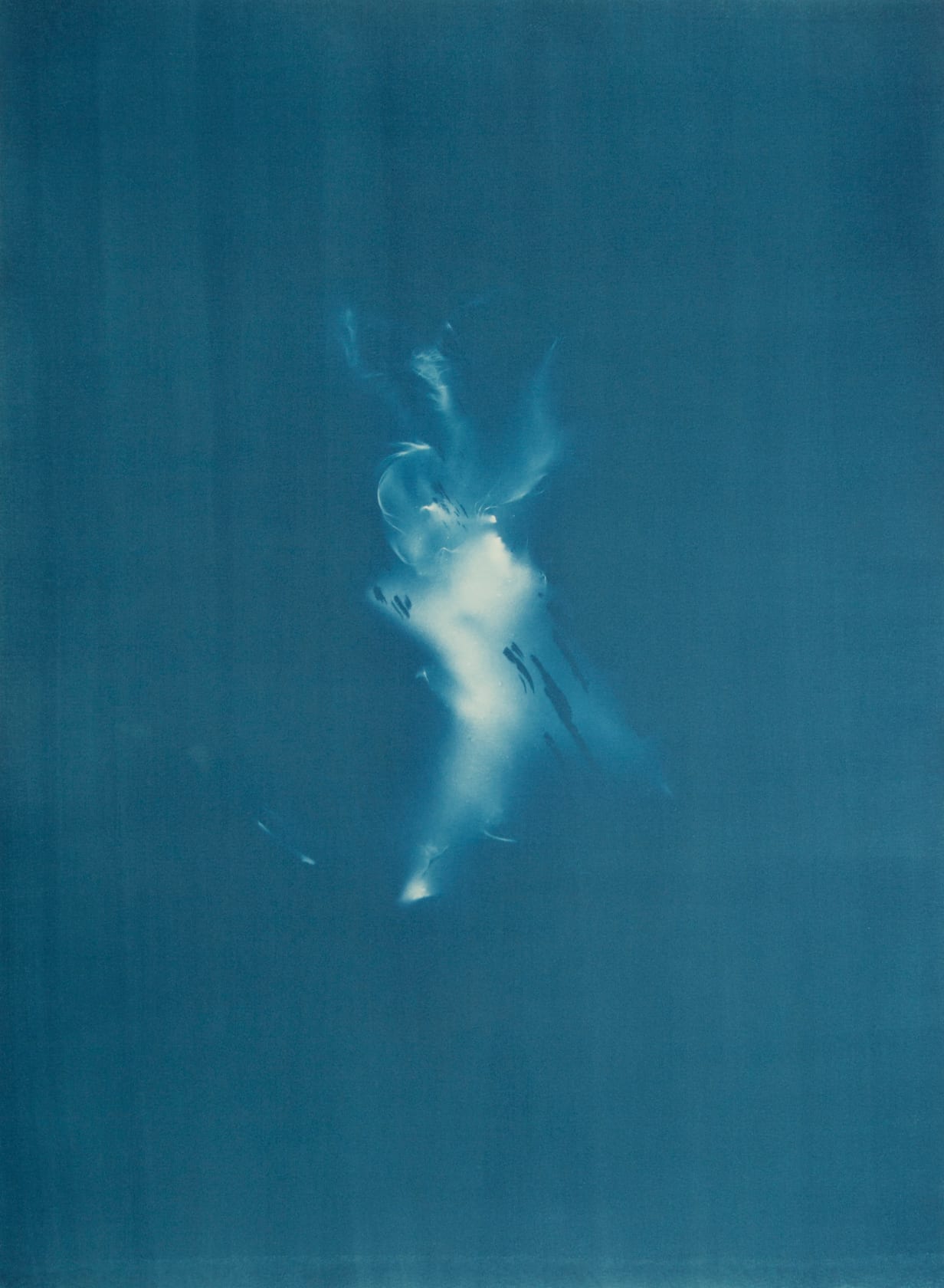 Janelle Lynch Sprite II, 2022