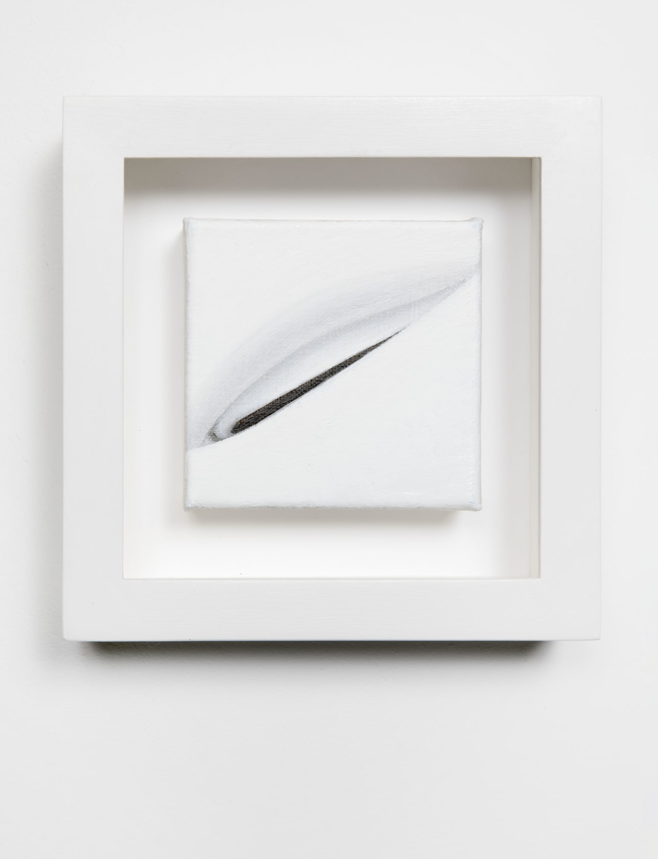 Alison Watt Quill I, 2016