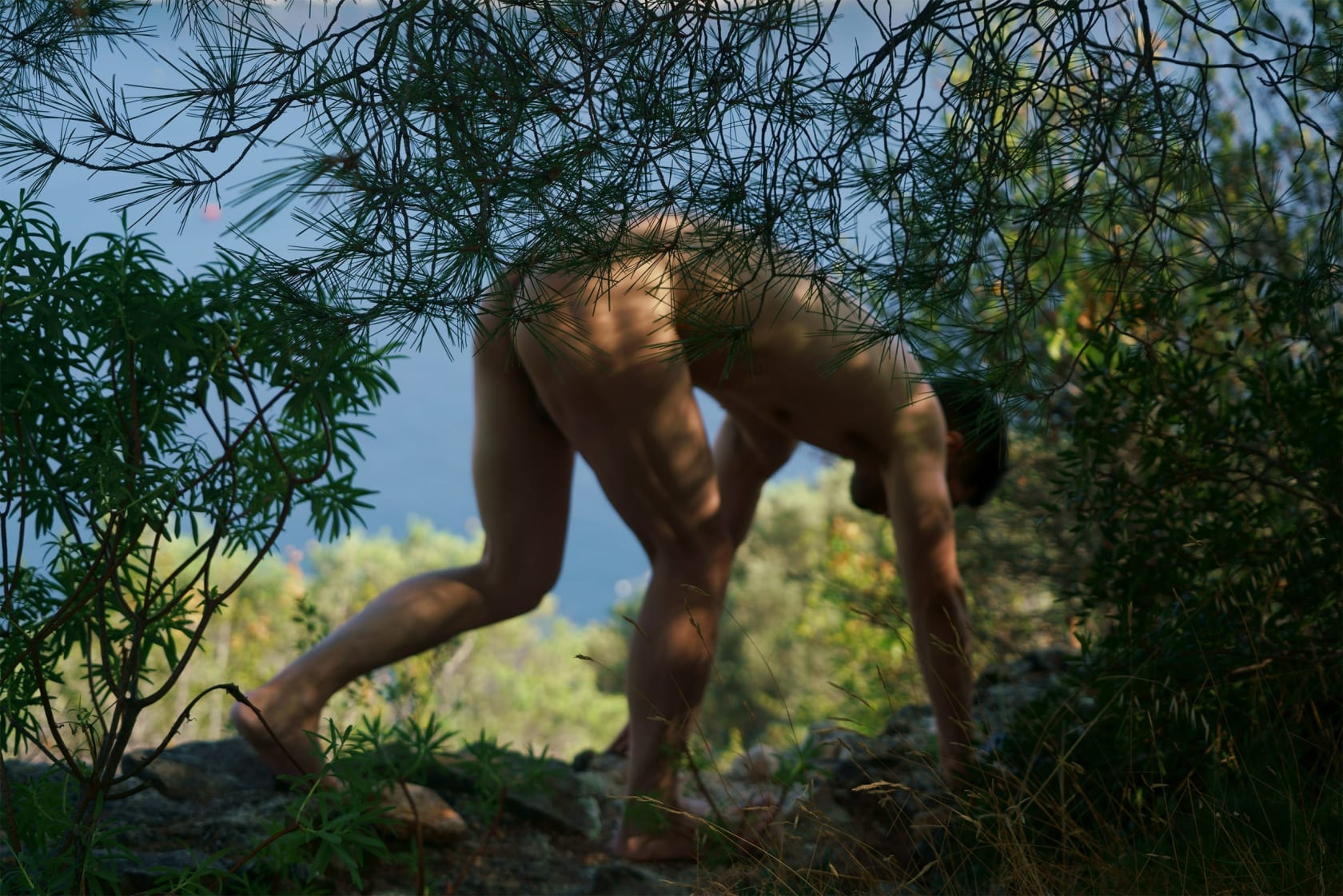 Shen Wei, Self-portrait (Mont Boron), 2023