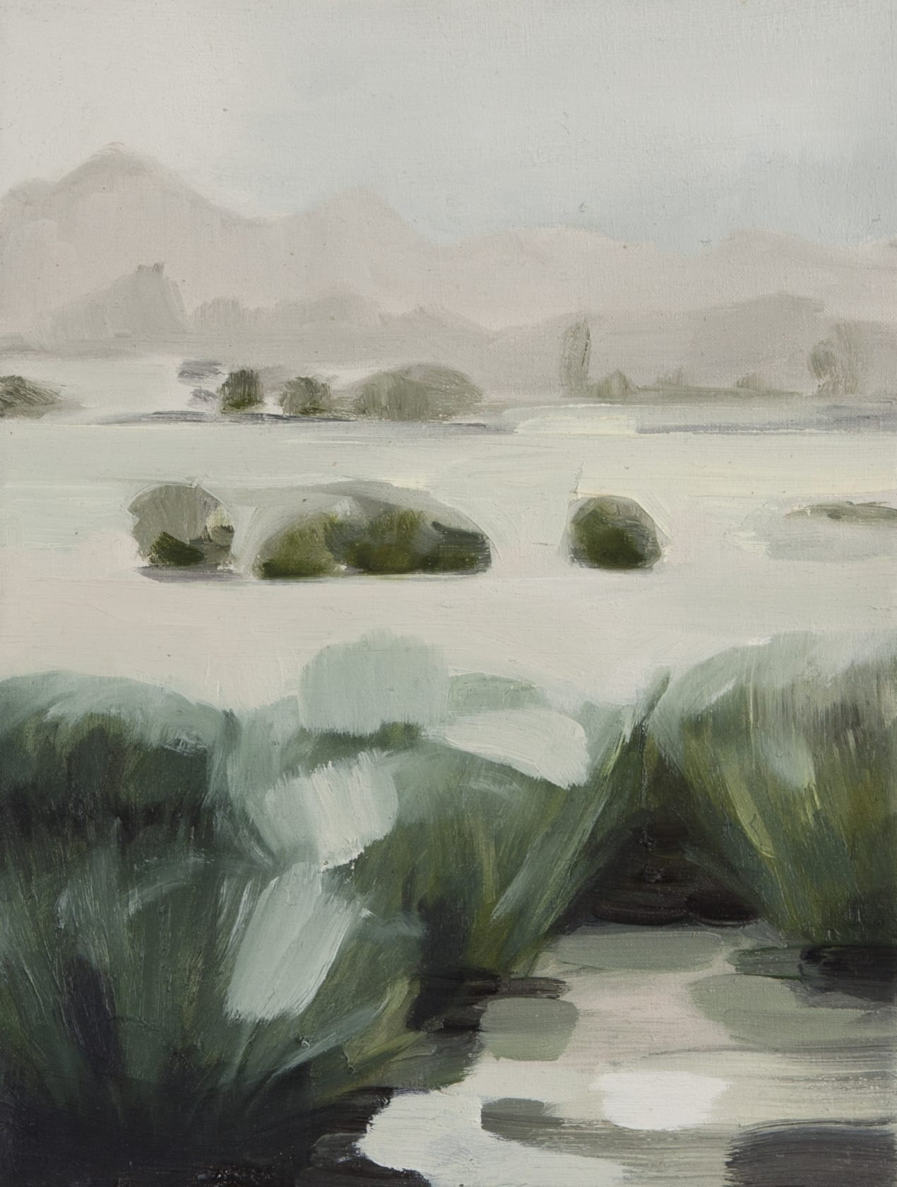 Anna Maria Schonrock Landscape, 2014