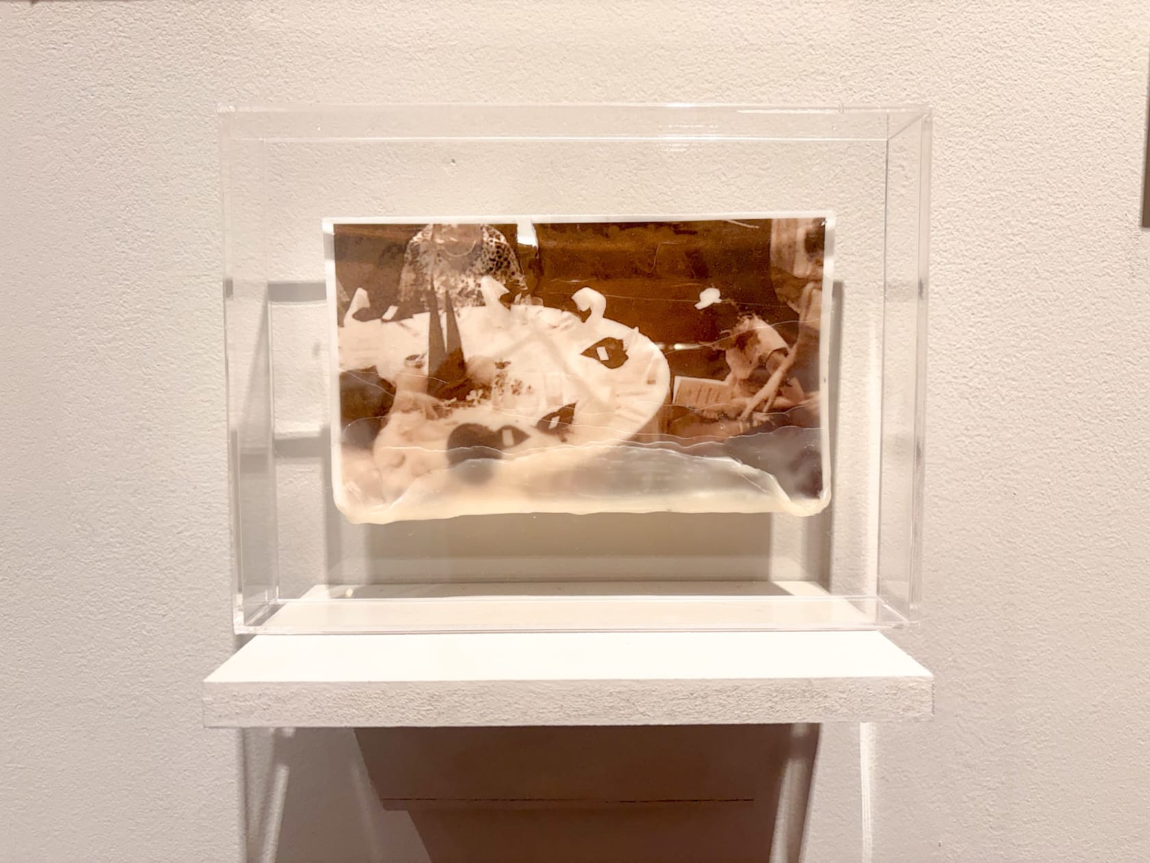 Lynn Dennison Party, 2025