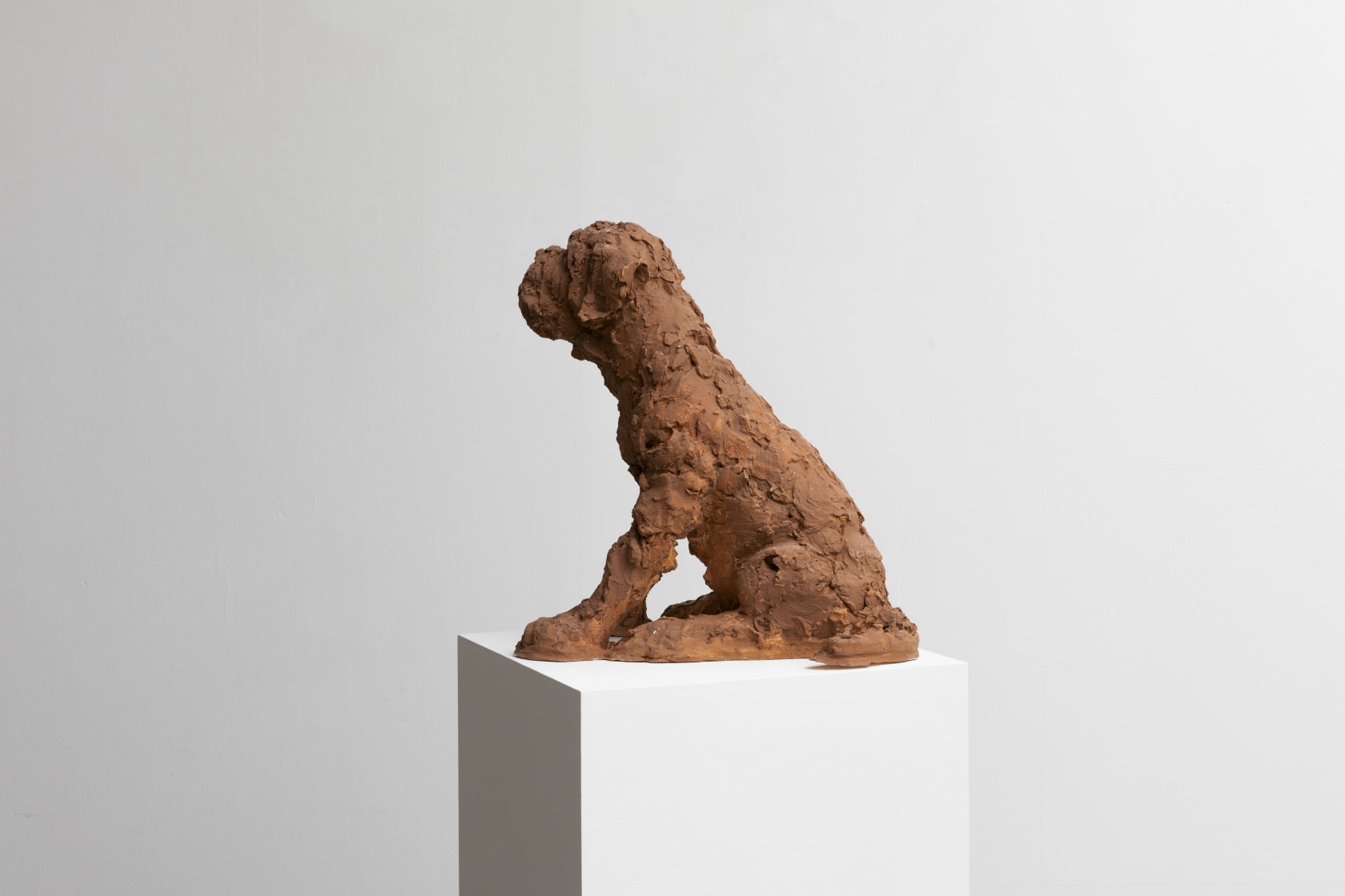 Nicola Hicks, Puppy, 2021