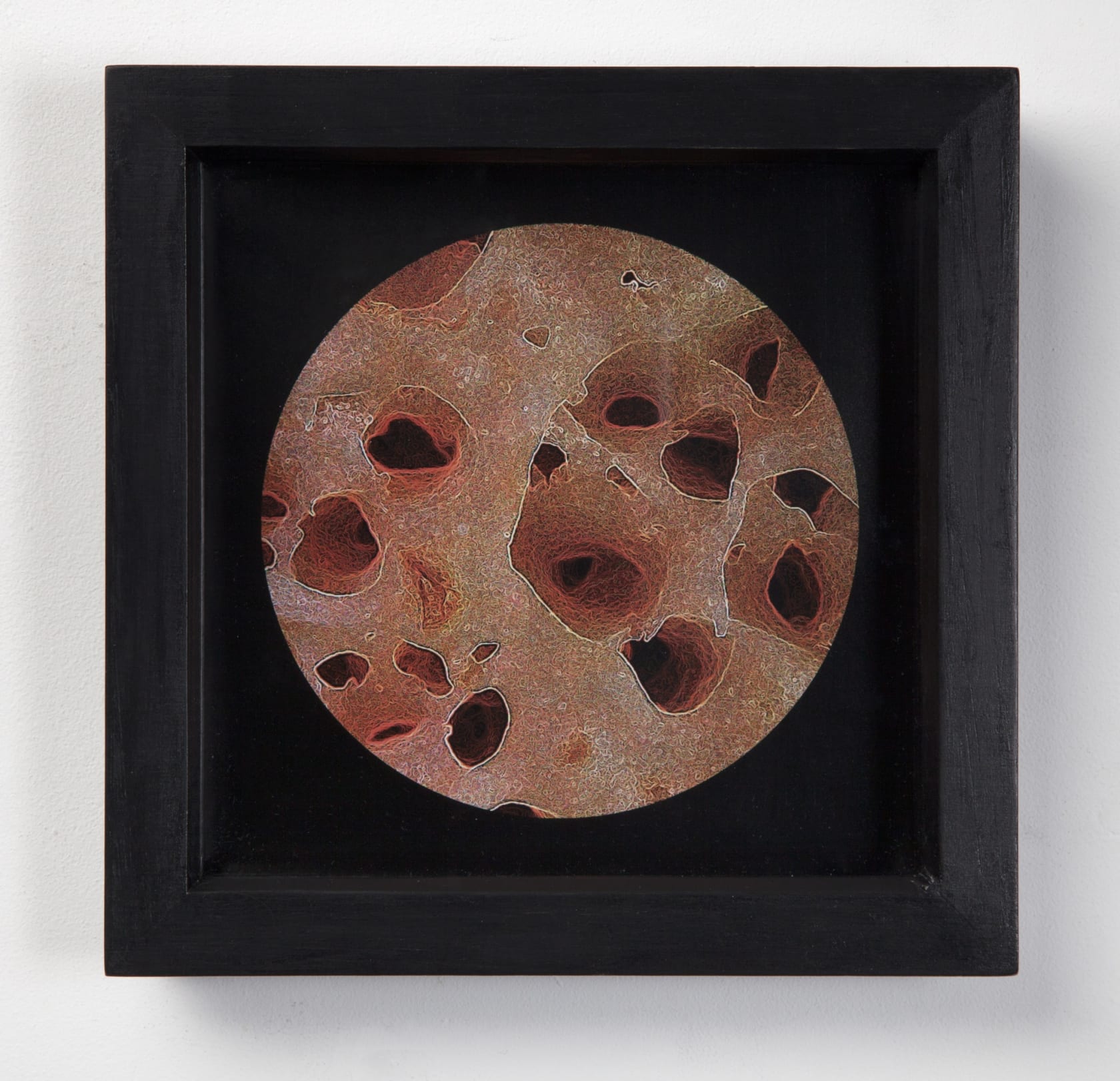 Peter Ellis Crumpits II, 2015