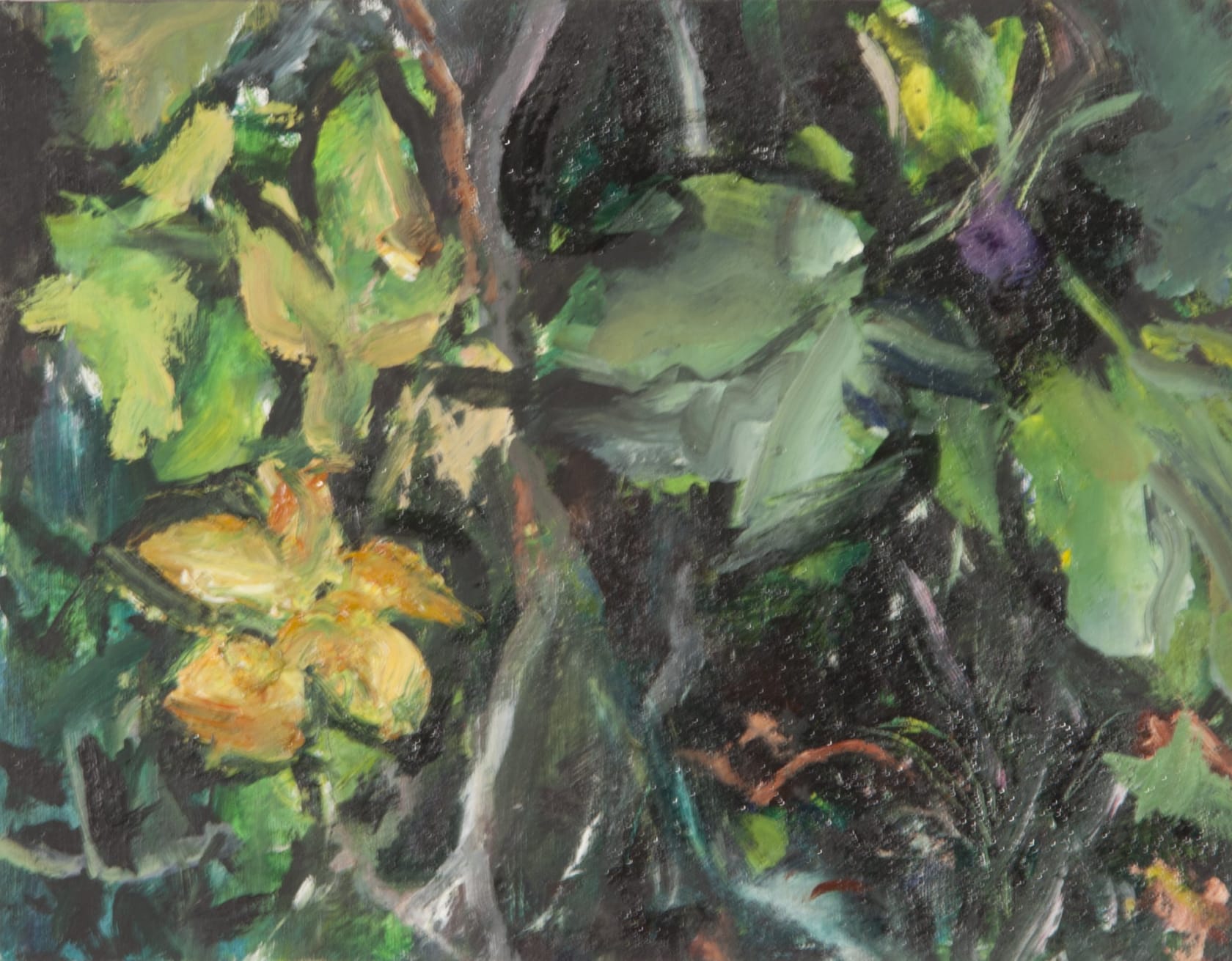 Janet Taylor Find The Fig (France) b), 2012