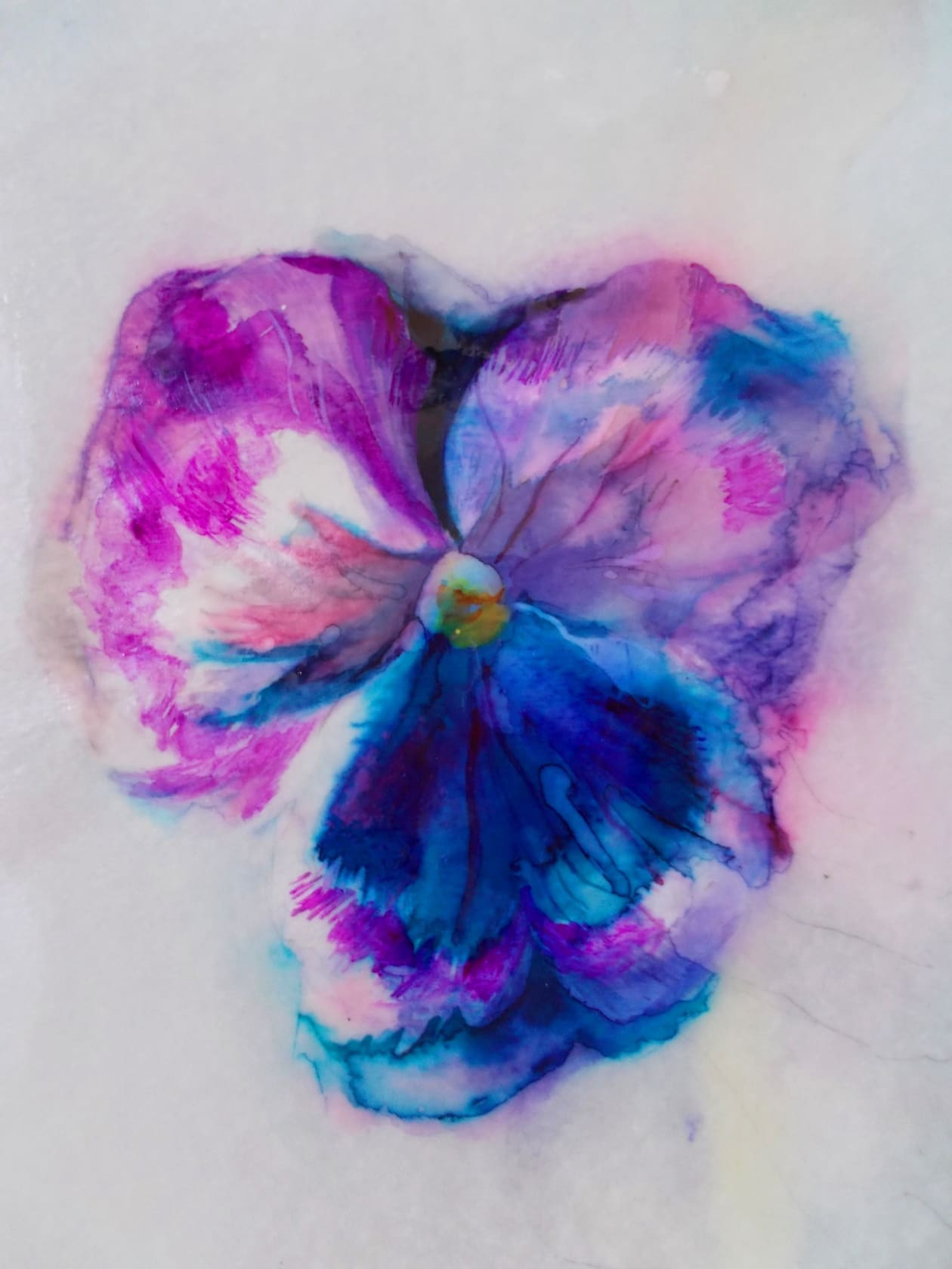 Lia Ali Blooming, 2014