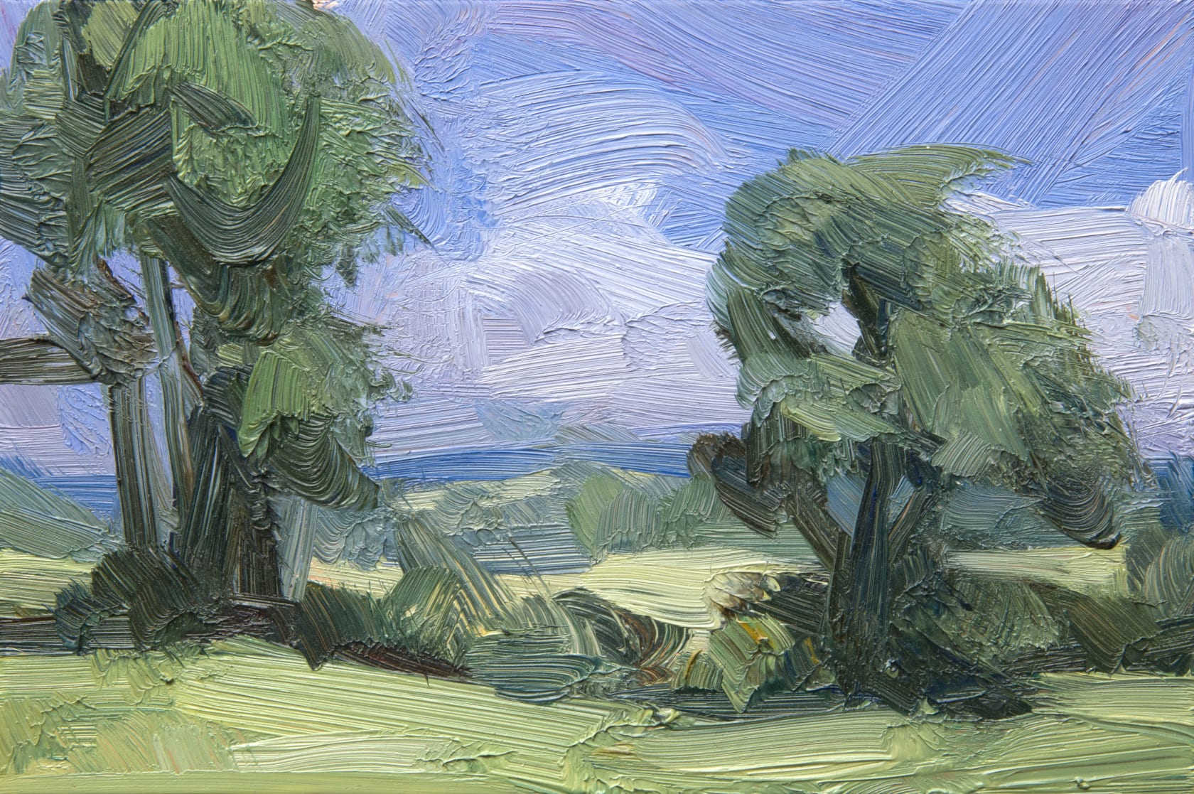 Tai Shan Schierenberg, Untitled, 2017