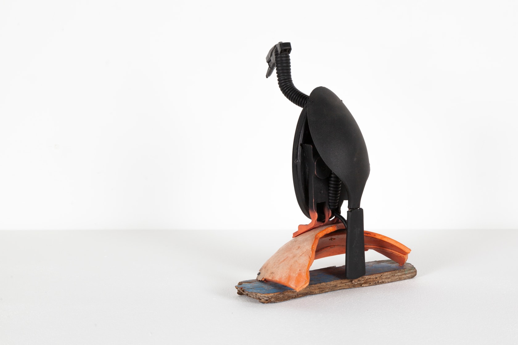 Emily Mayer Cochleari Dorsum, 2020