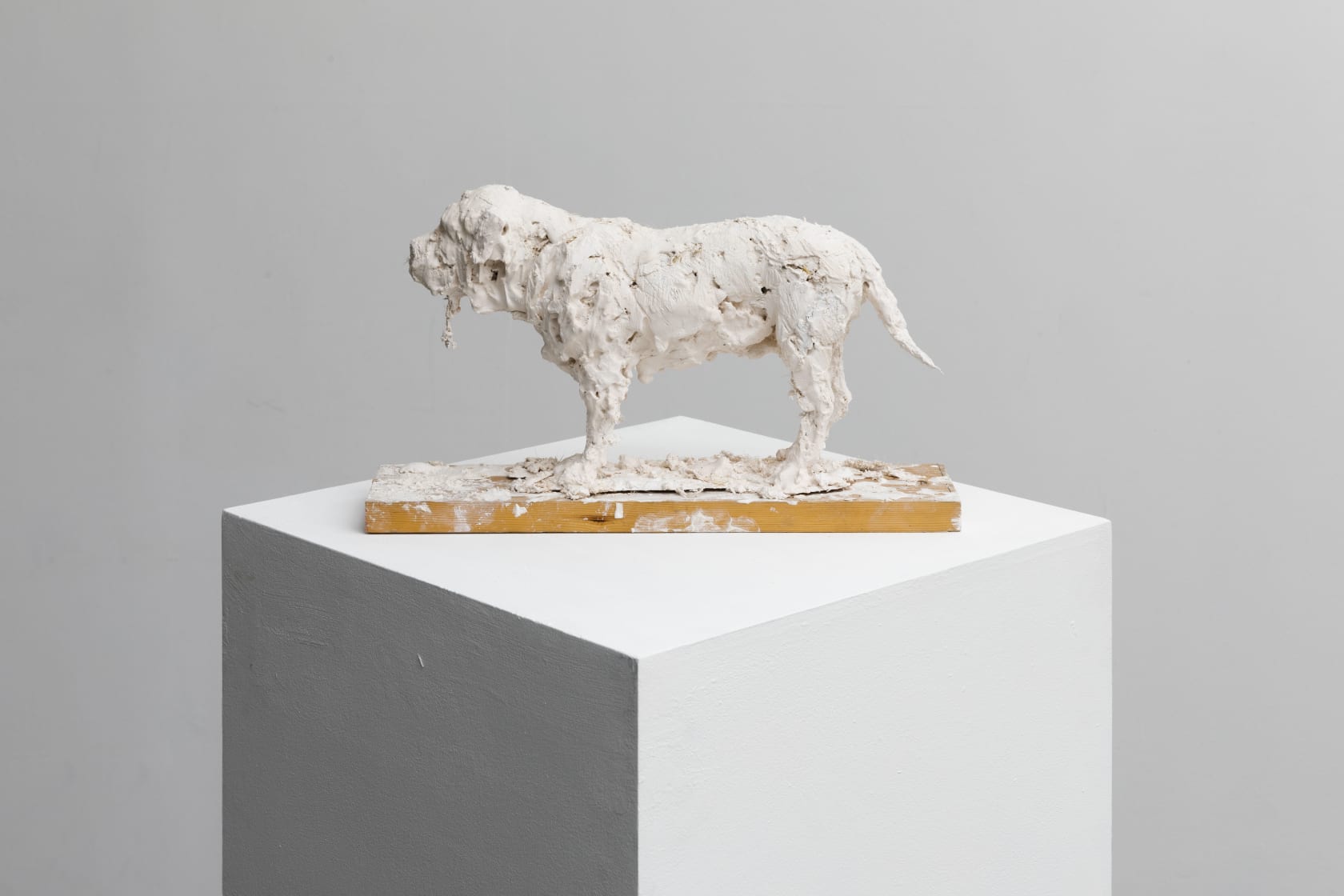 Nicola Hicks, Plato 1, 2019