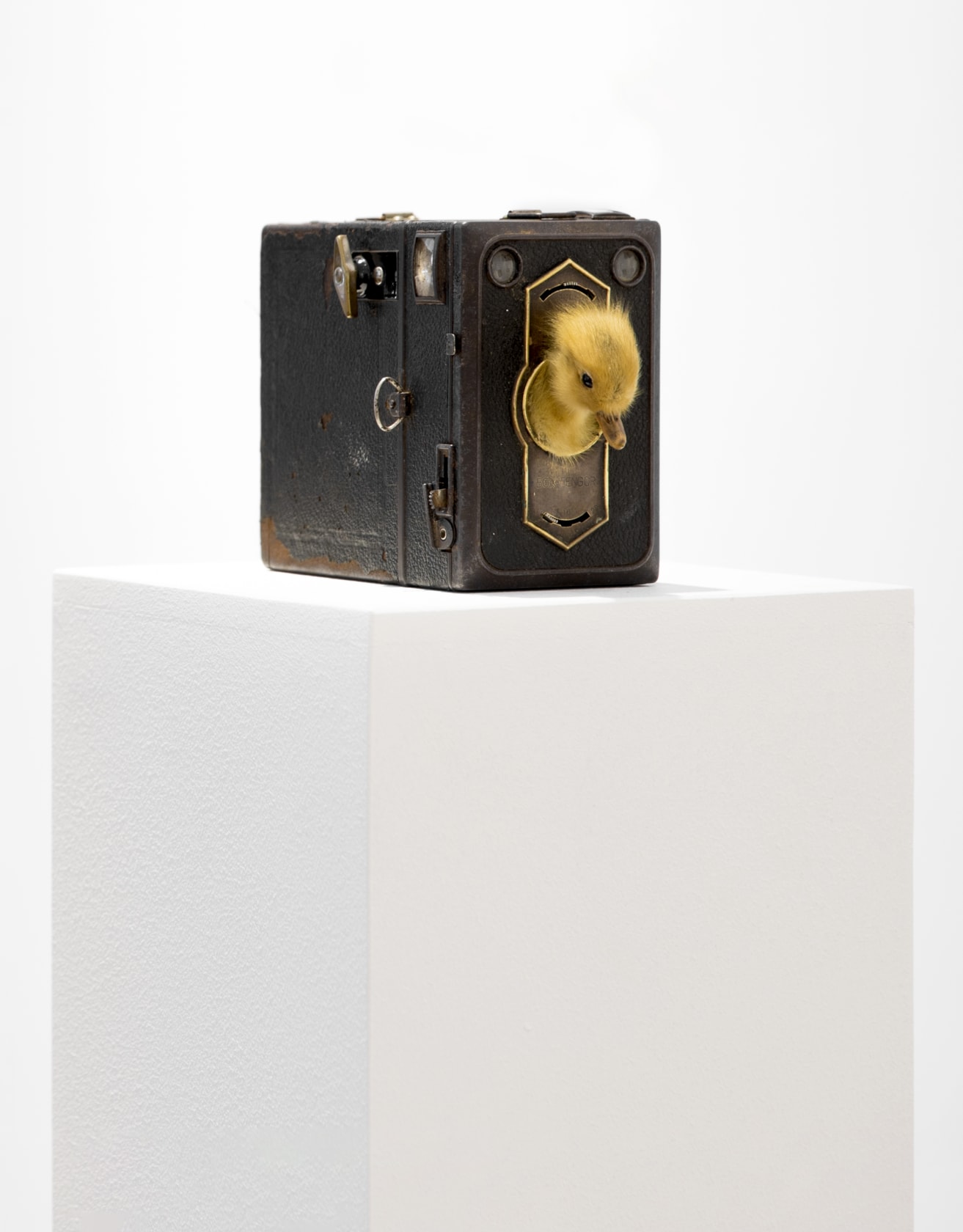 Nancy Fouts, Look at the Birdie, 2012