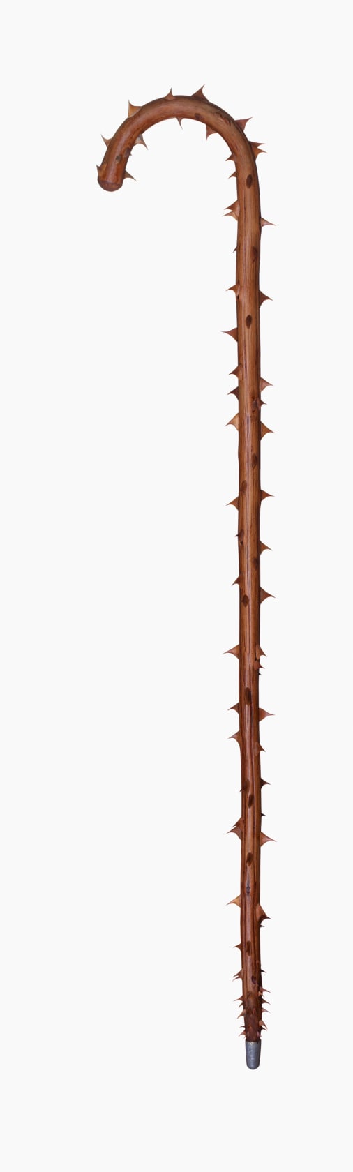 Nancy Fouts Prick Stick, 2013