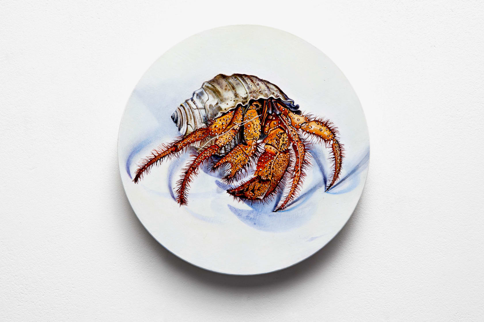 Ishbel Myerscough Hermit, 2016