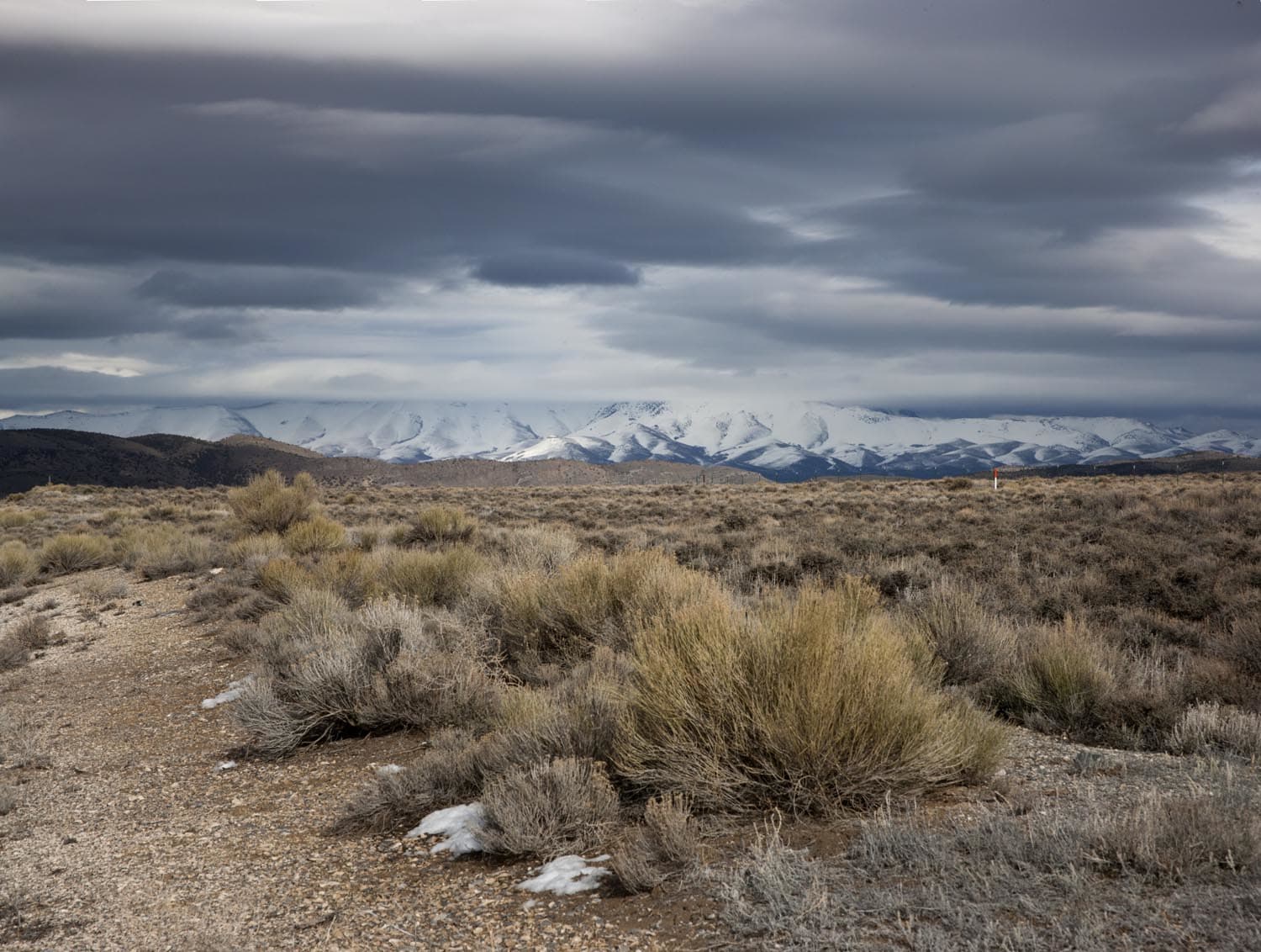 Boyd & Evans Nevada, 2012
