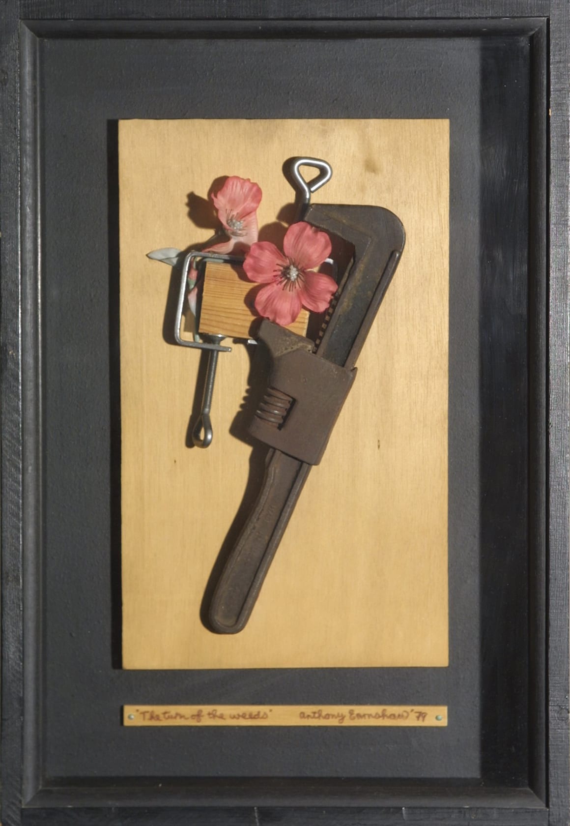 Anthony Earnshaw, The Turn Of The Weeds, 1978