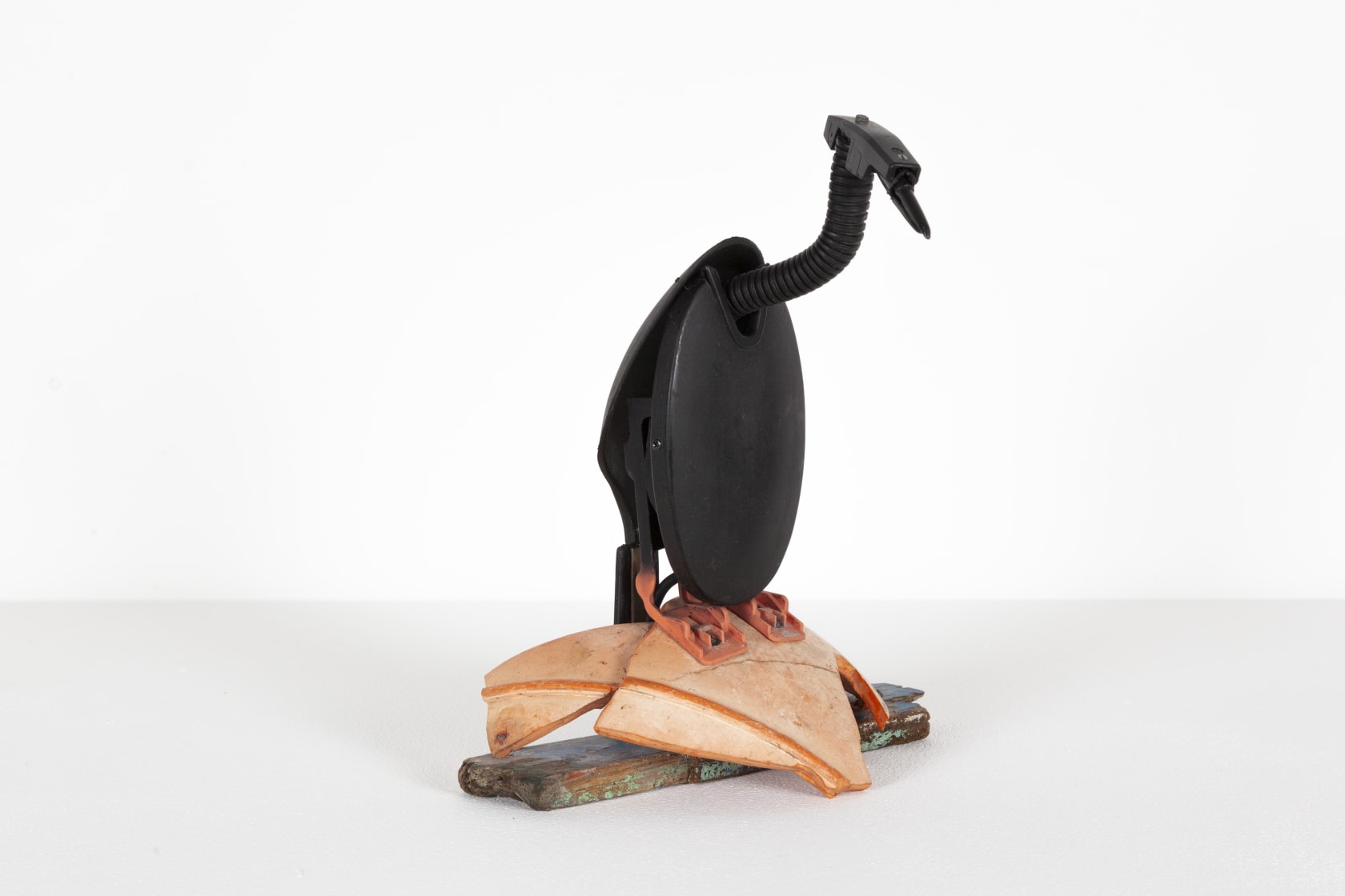 Emily Mayer Cochleari Dorsum, 2020