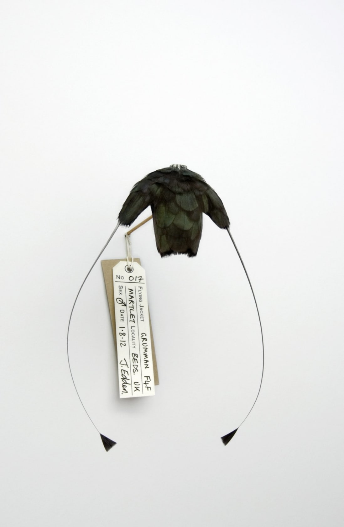 Jane Edden 17 Grumman F4F Martlet, 2012