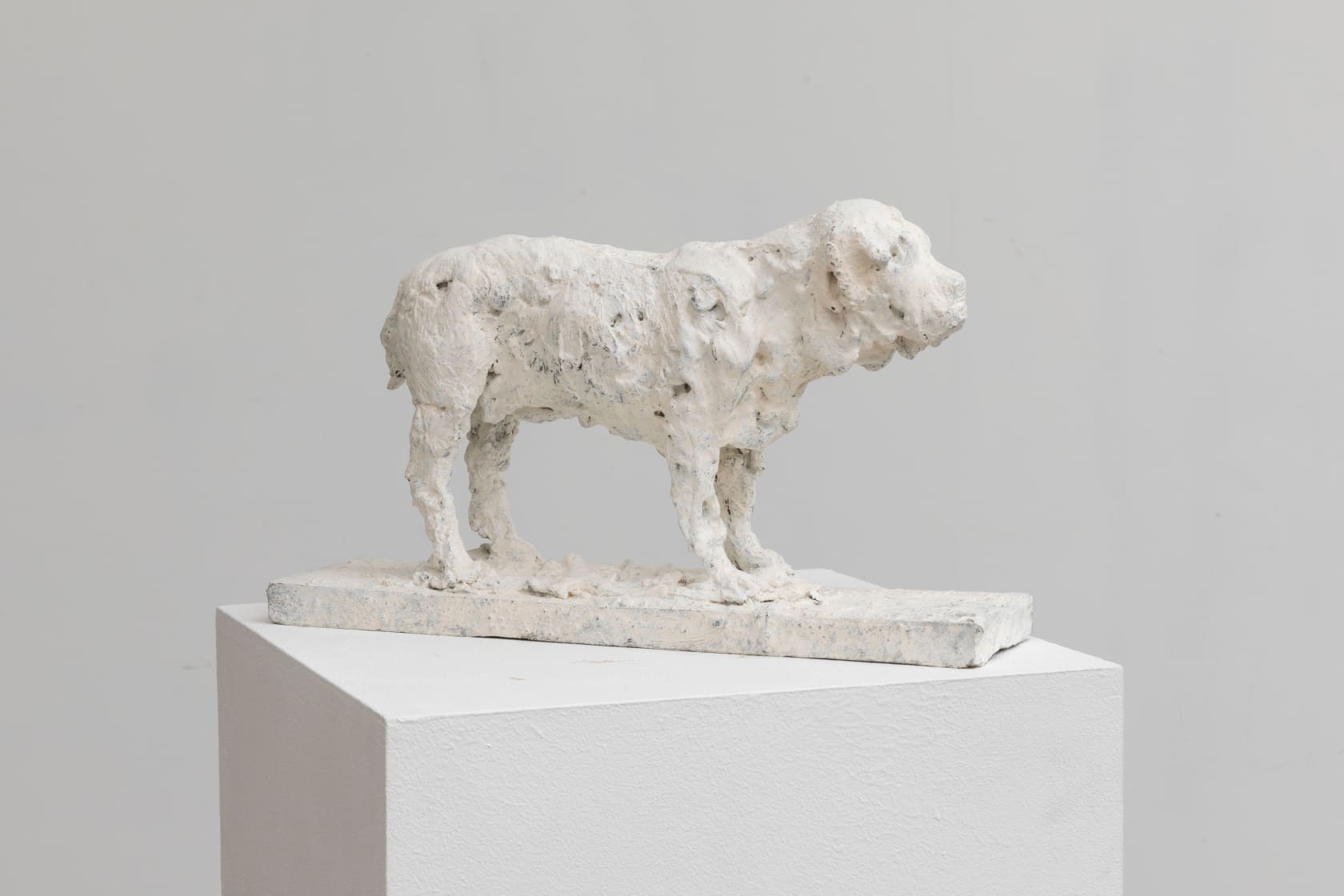 Nicola Hicks, Plato 1, 2019