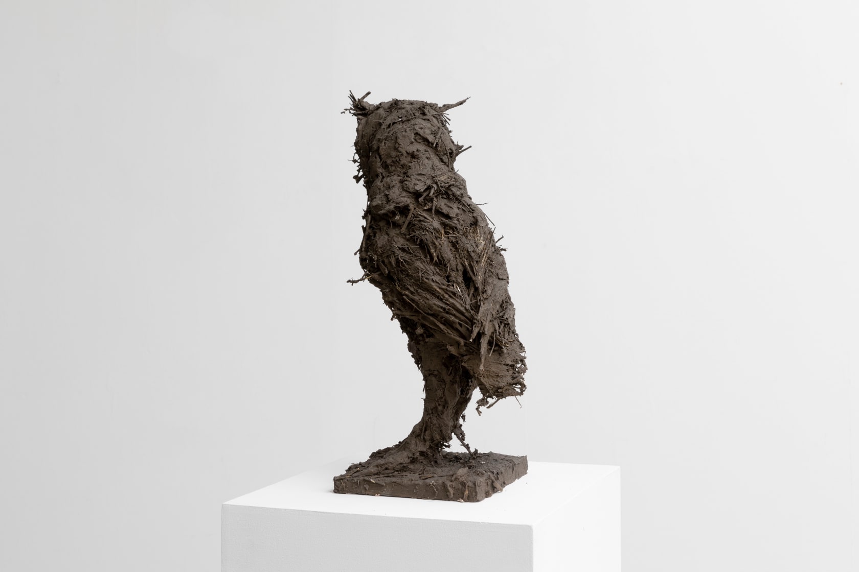 Nicola Hicks, Being an Owl, 2020