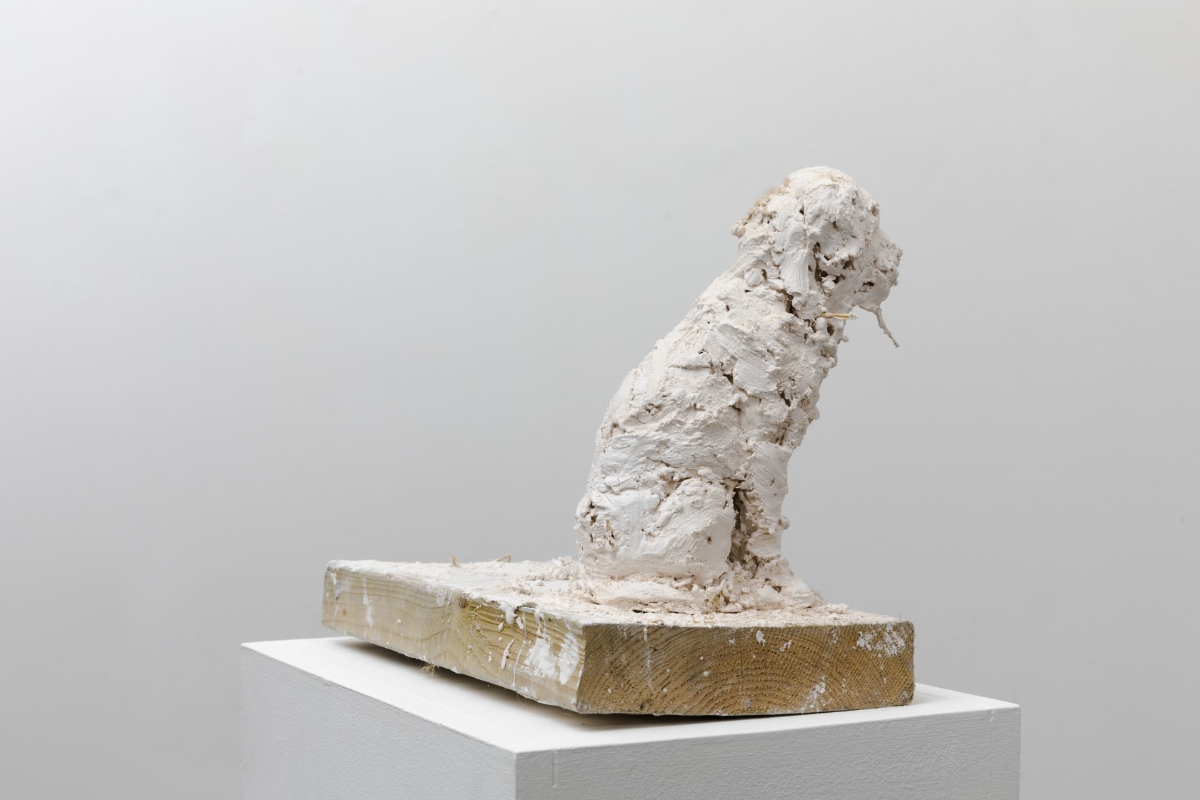 Nicola Hicks, Plato 2, 2019