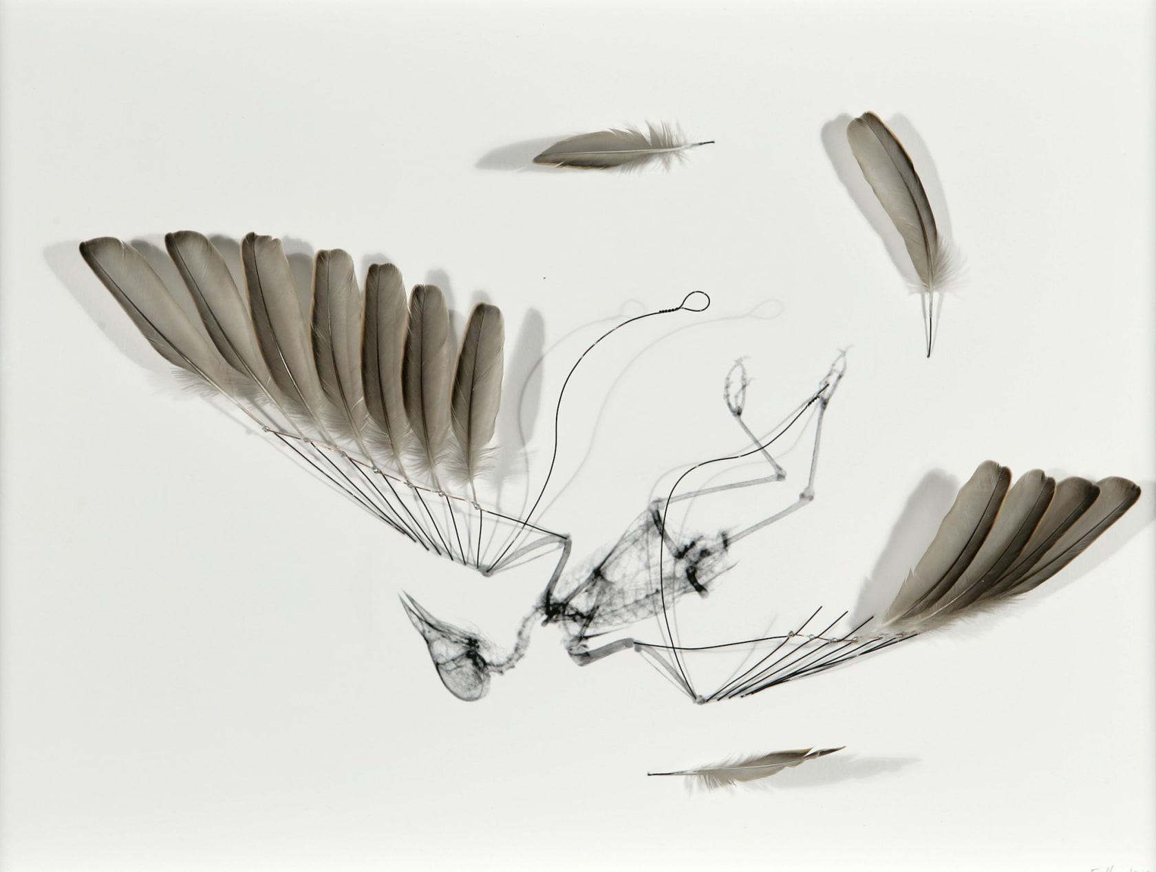 Jane Edden, Fall, 2008