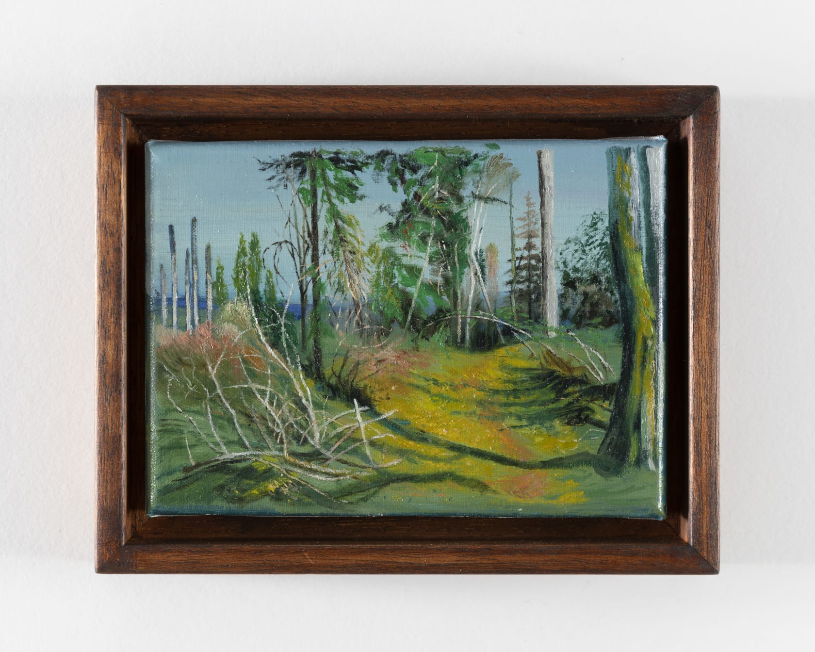 Calum McClure Tree Archway, 2021