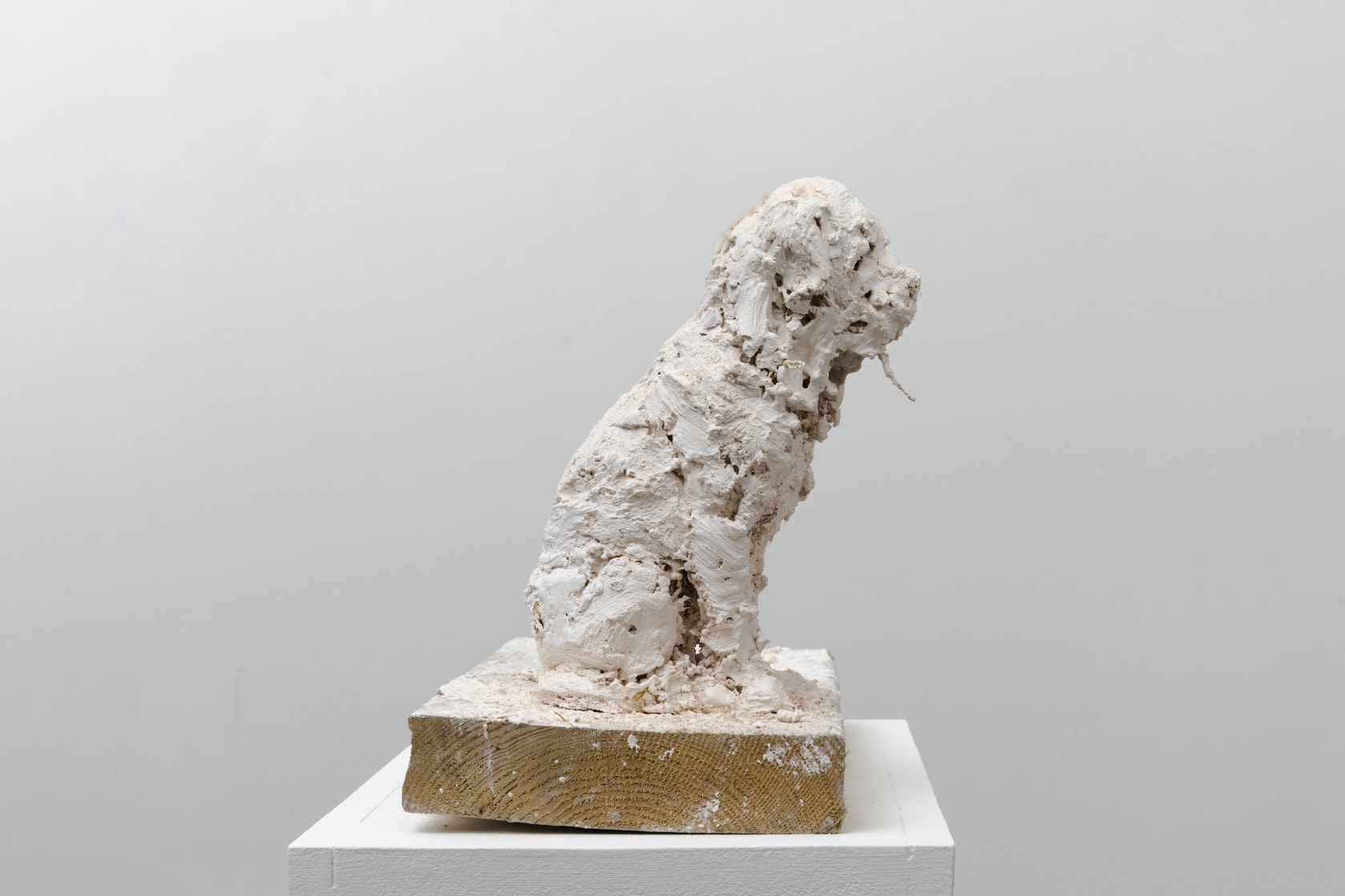 Nicola Hicks, Plato 2, 2019