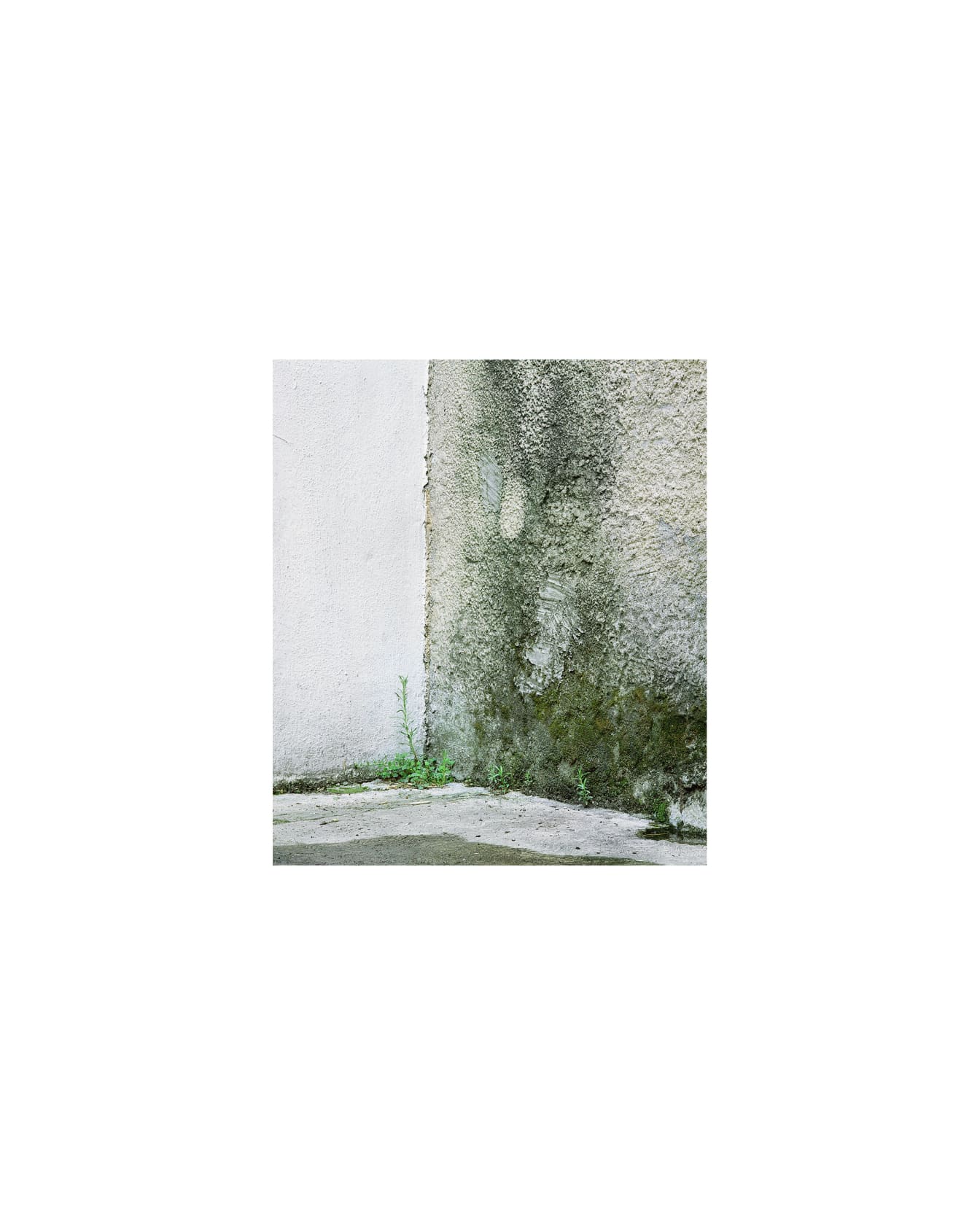 Janelle Lynch, Untitled 6 (Donde Andaba), 2005