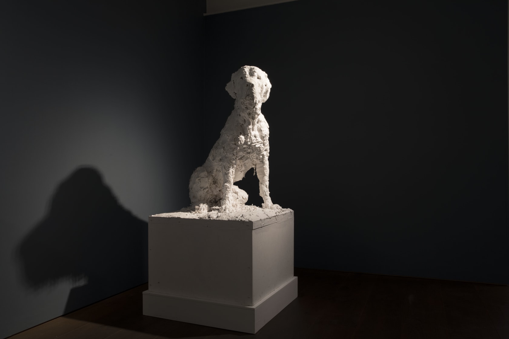 Nicola Hicks, Big Dog, 2010