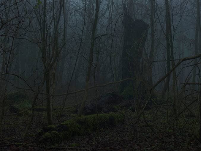 Simon Roberts Untitled #2, The Weeds and the Wilderness, 2018