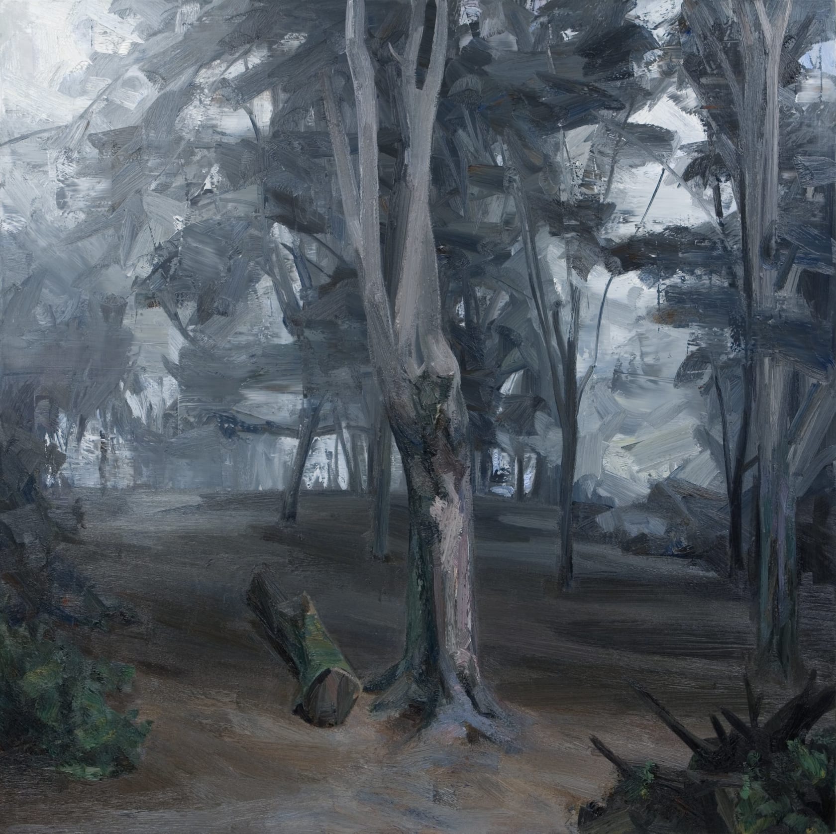 Tai Shan Schierenberg November, 2008