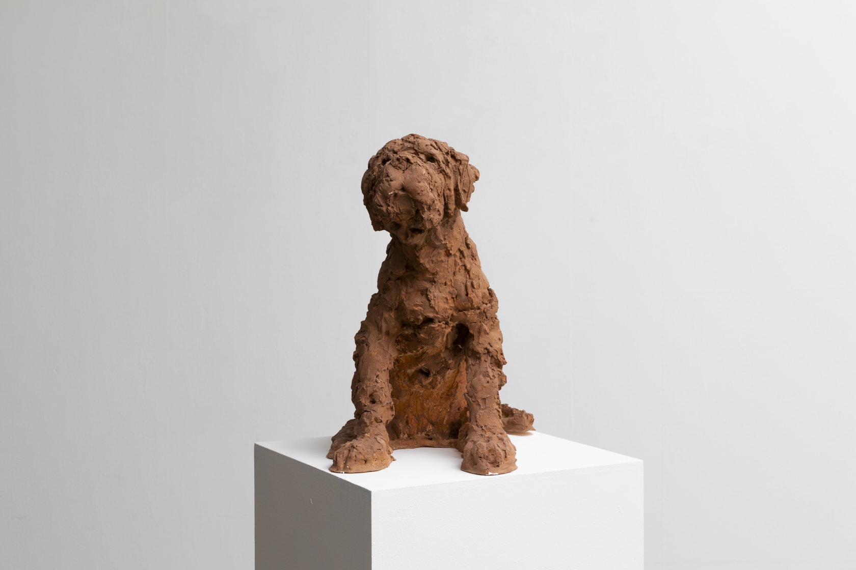 Nicola Hicks, Puppy, 2021