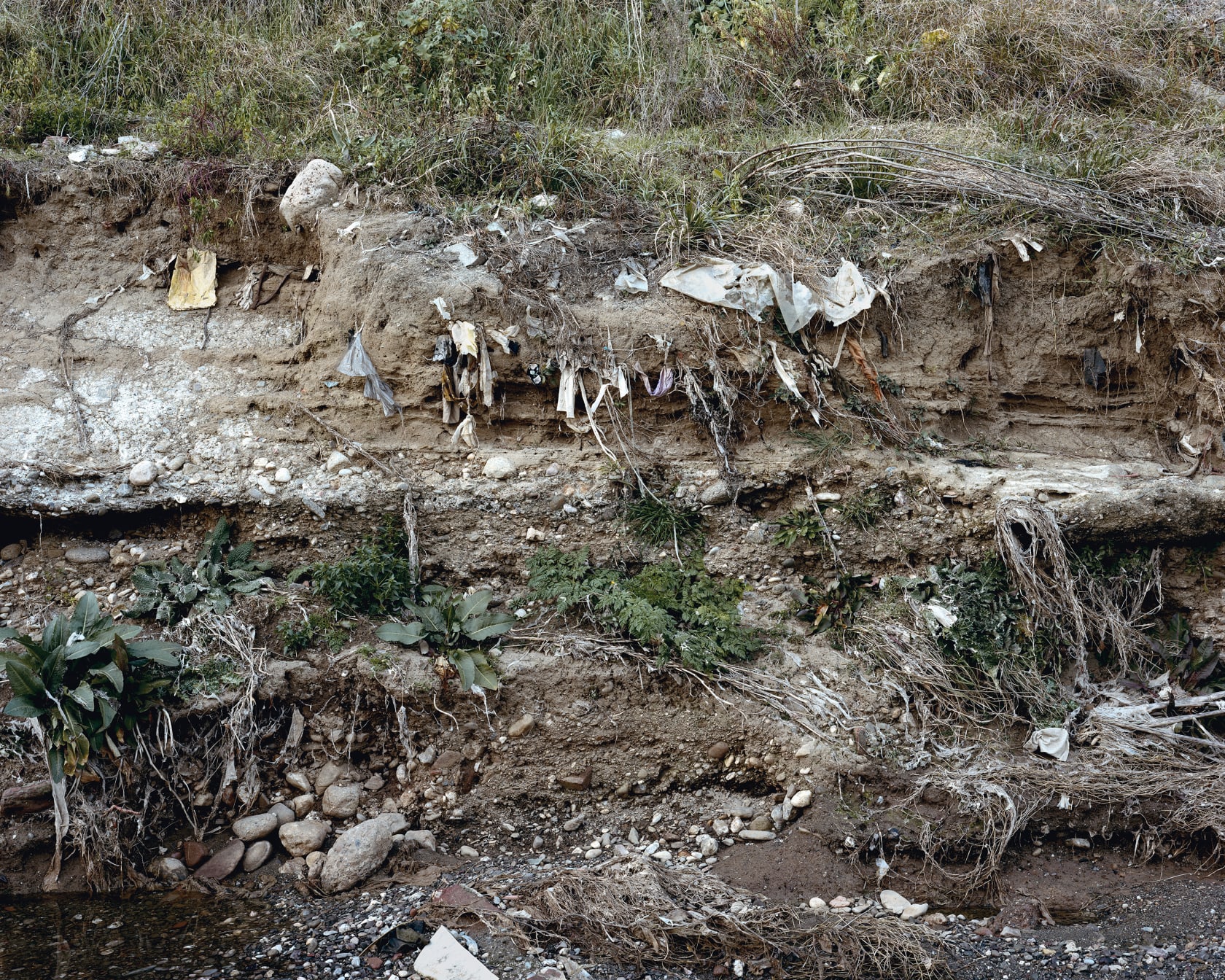 Janelle Lynch Walls 7 (Barcelona), 2011