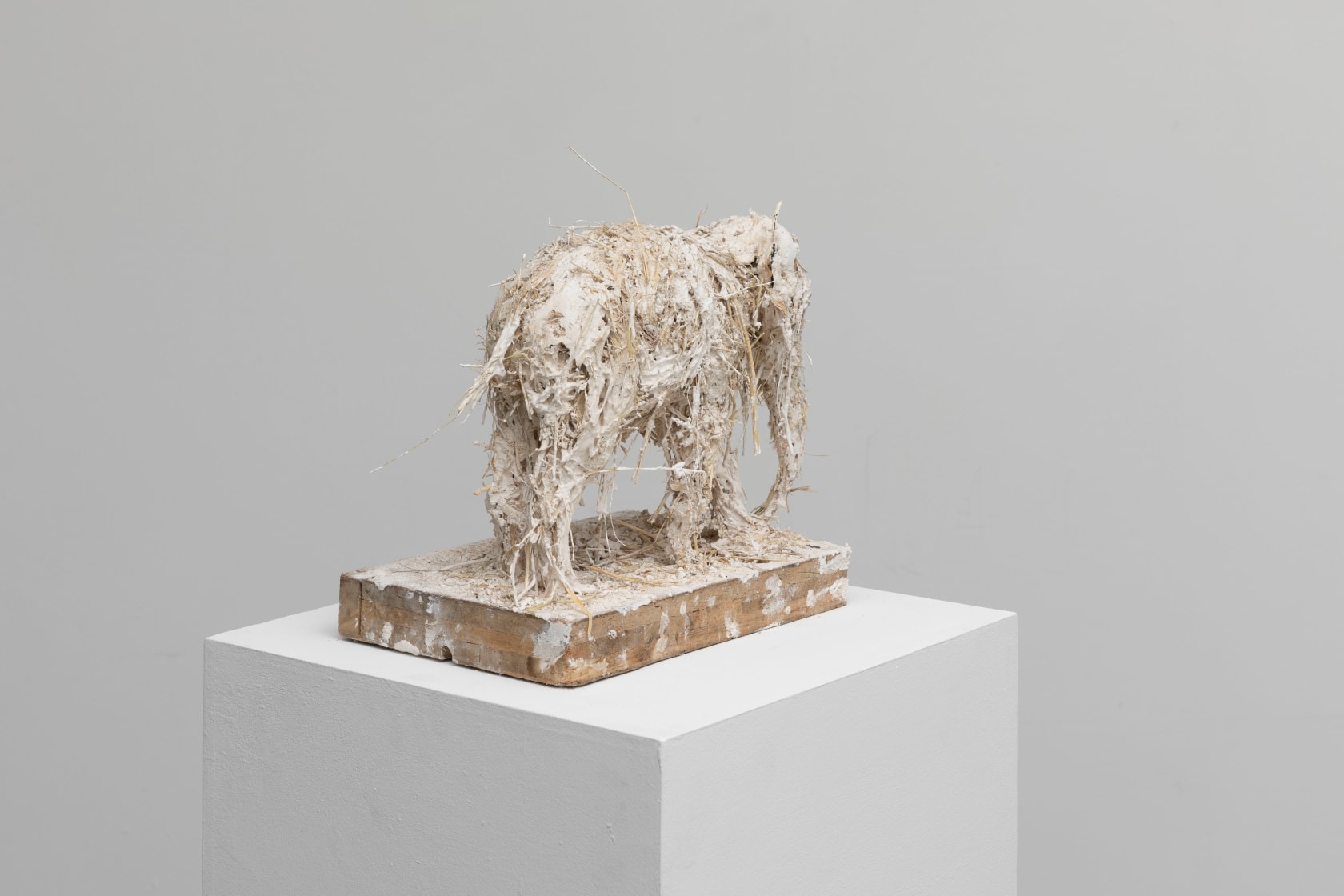 Nicola Hicks, Elephant, 2019