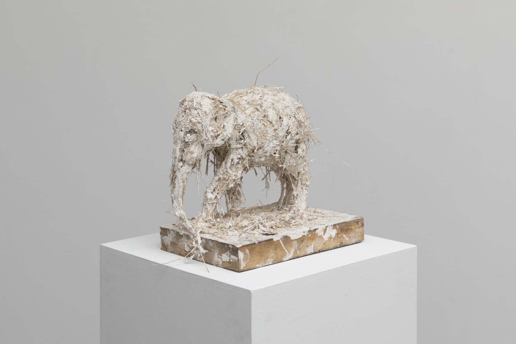 Nicola Hicks, Elephant, 2019