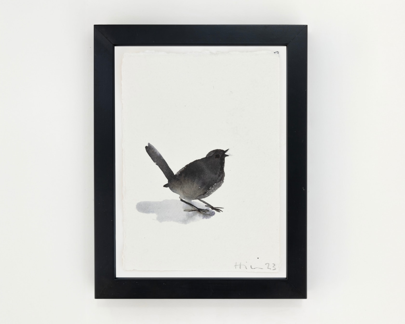 Nicola Hicks Robin, 2023