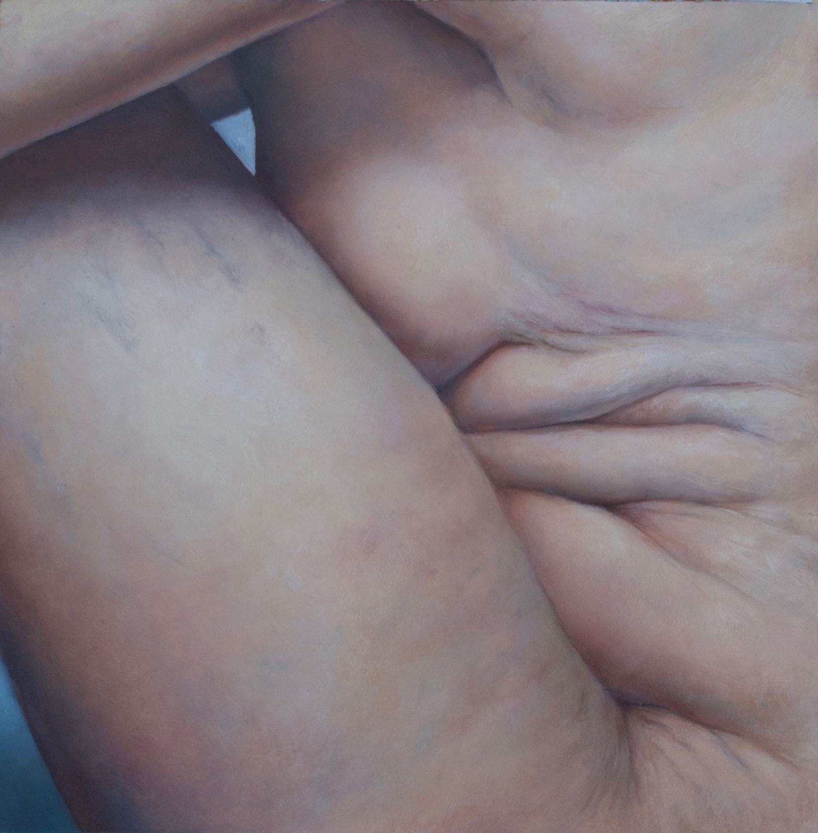 Maggie Rose Fold, 2018