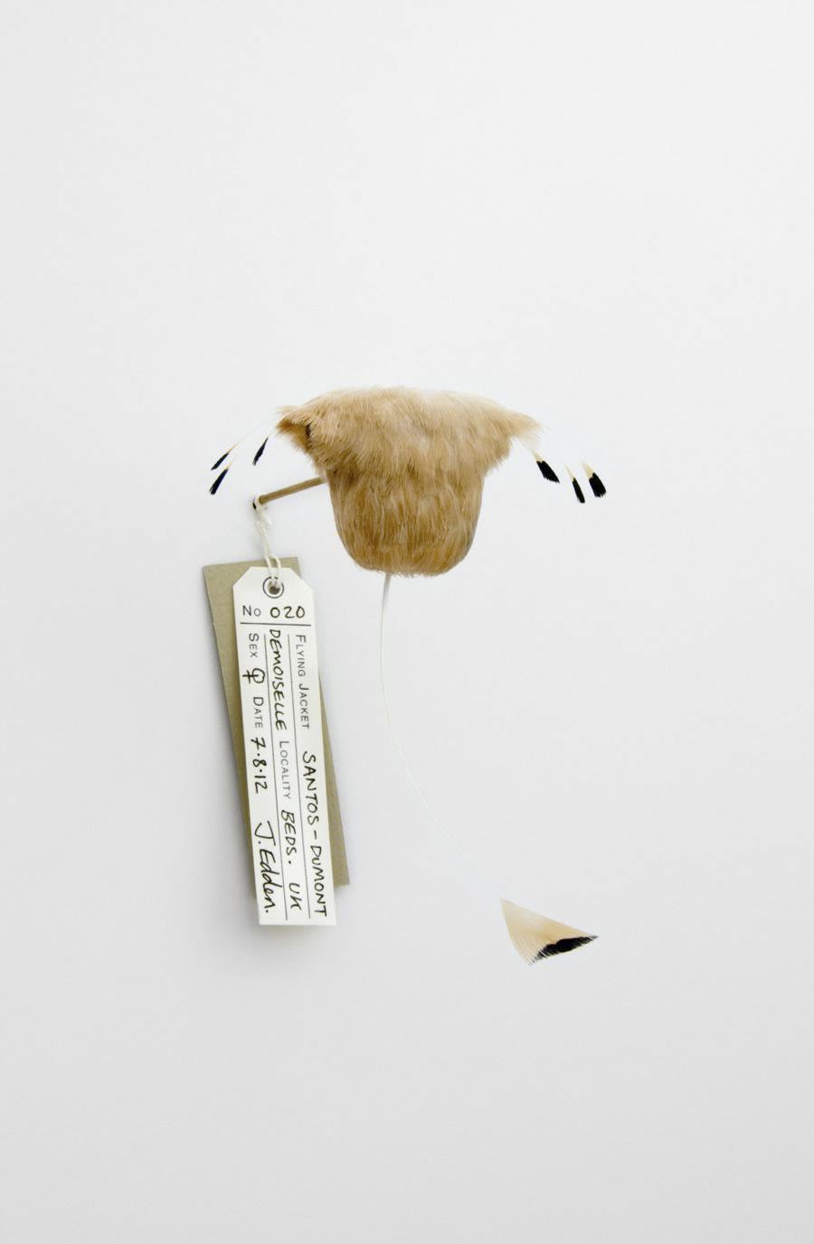 Jane Edden 20 Santos-Dumont Demoiselle, 2012