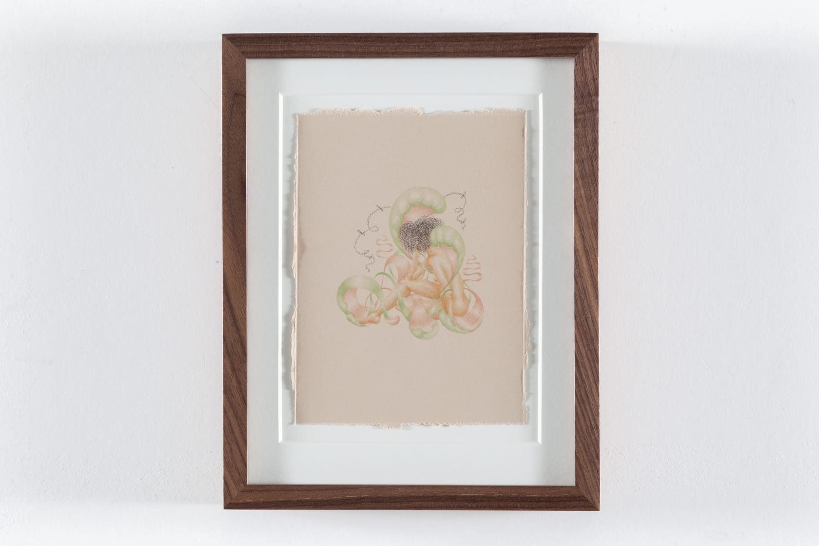 Charlotte Edey Cinnamon, 2020