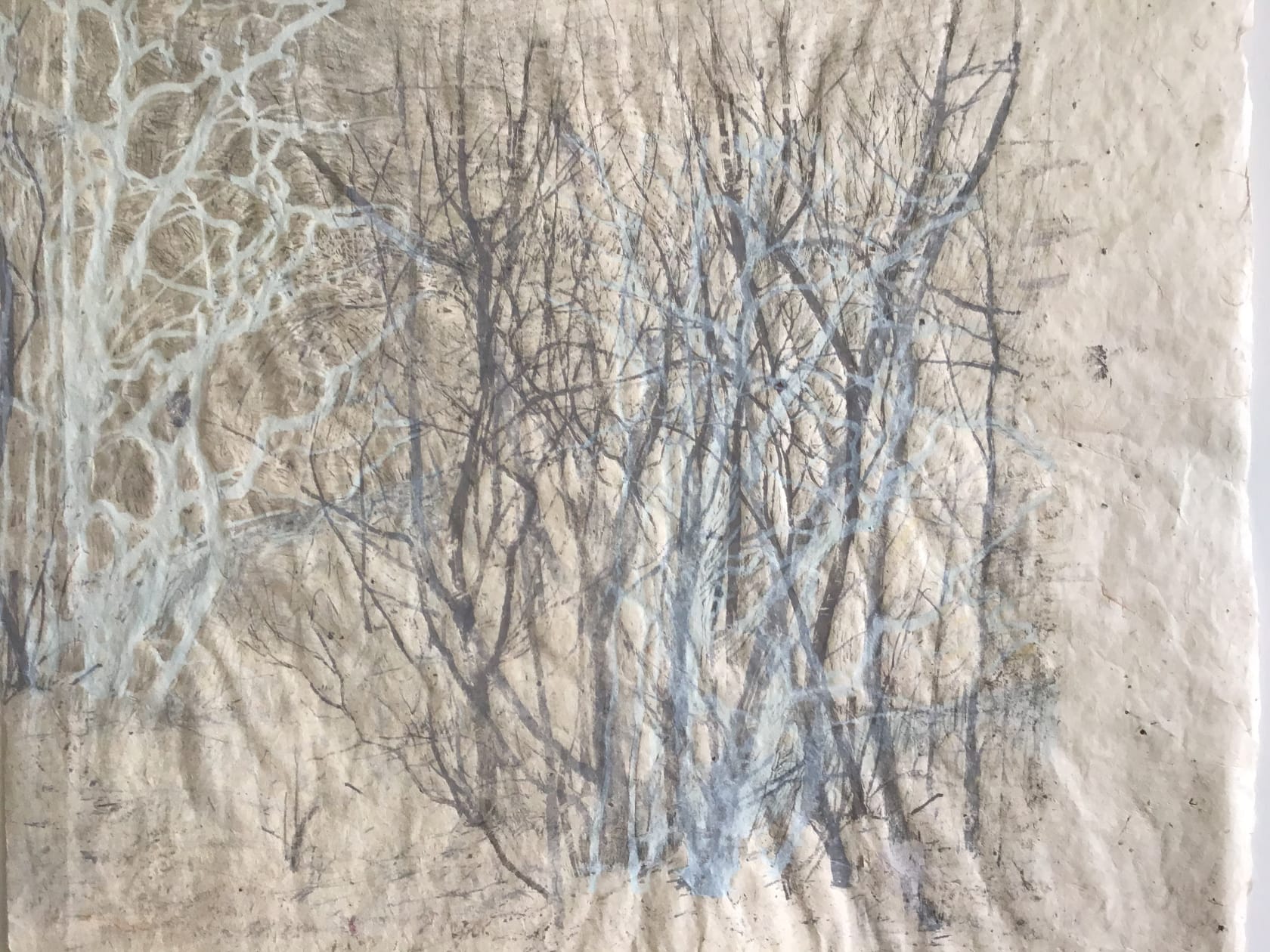 Victoria Crowe, Clearing