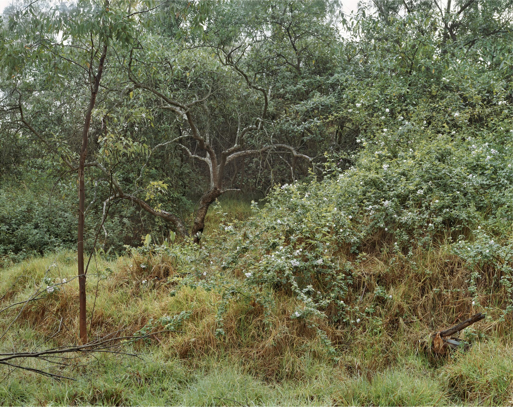 Janelle Lynch, Untitled 10 (La Fosa Común), 2007