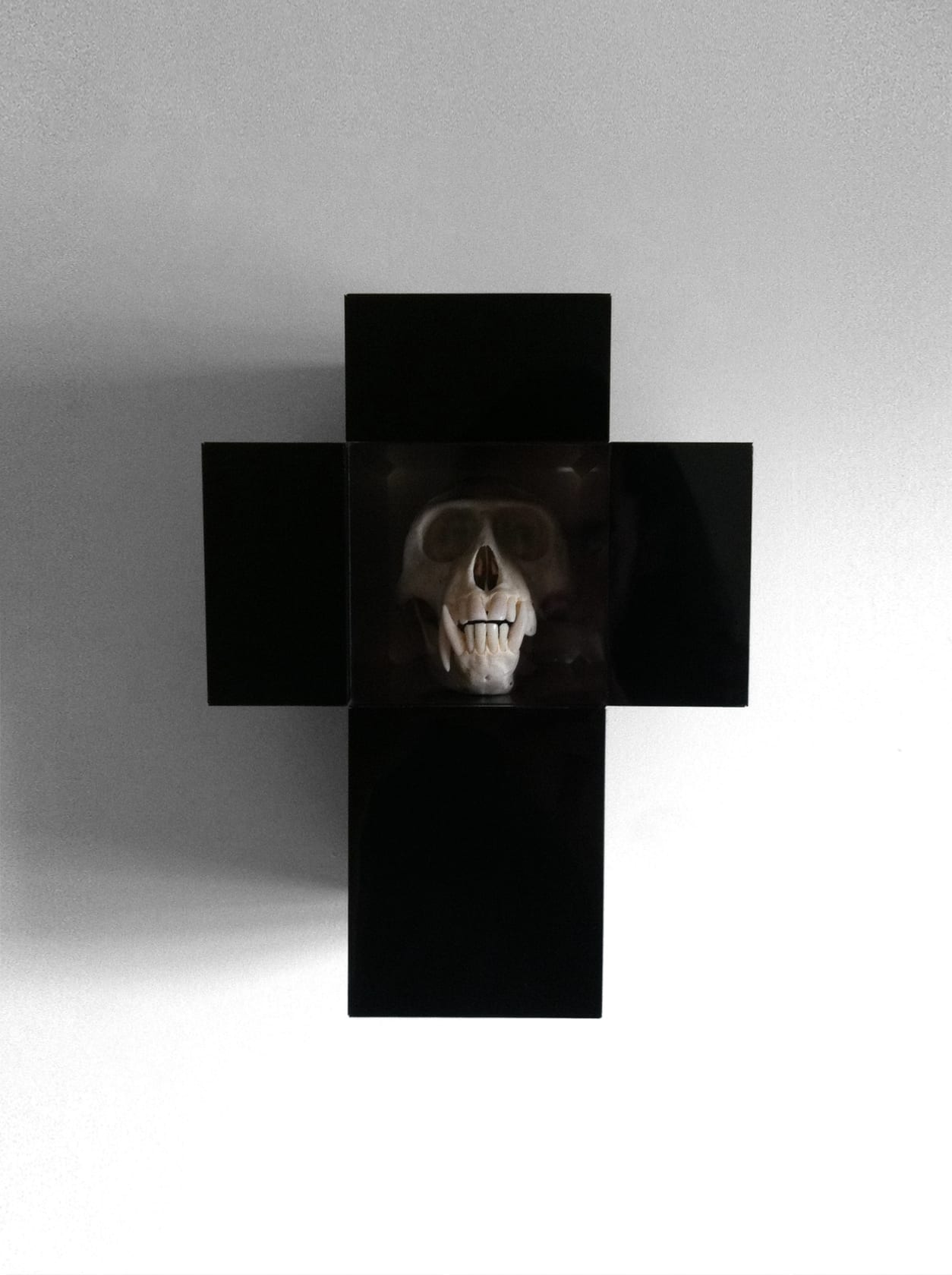 Joseph Grazi Hope, 2014