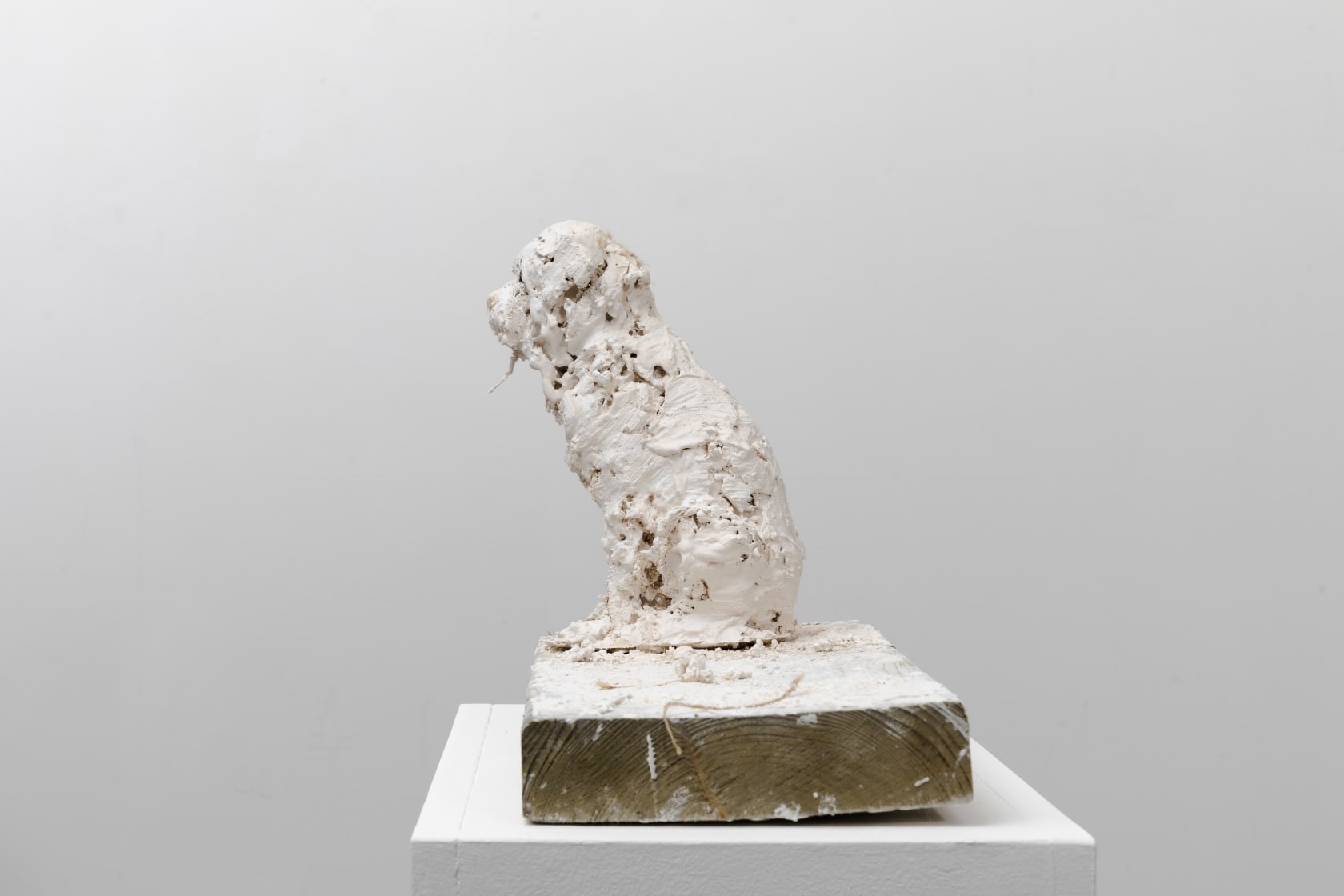 Nicola Hicks, Plato 2, 2019