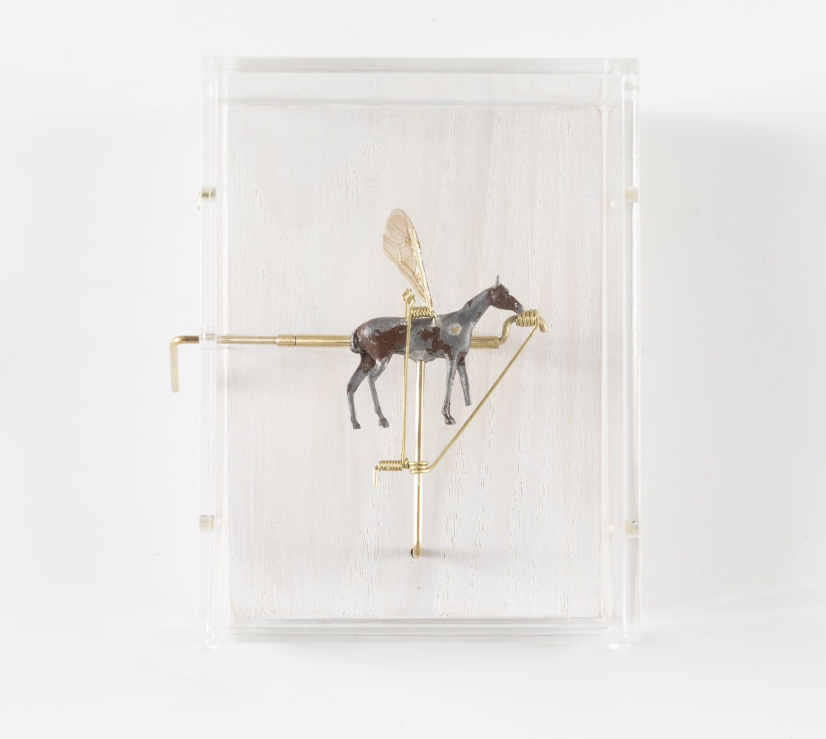 Jane Edden, Equus Bombus, 2018