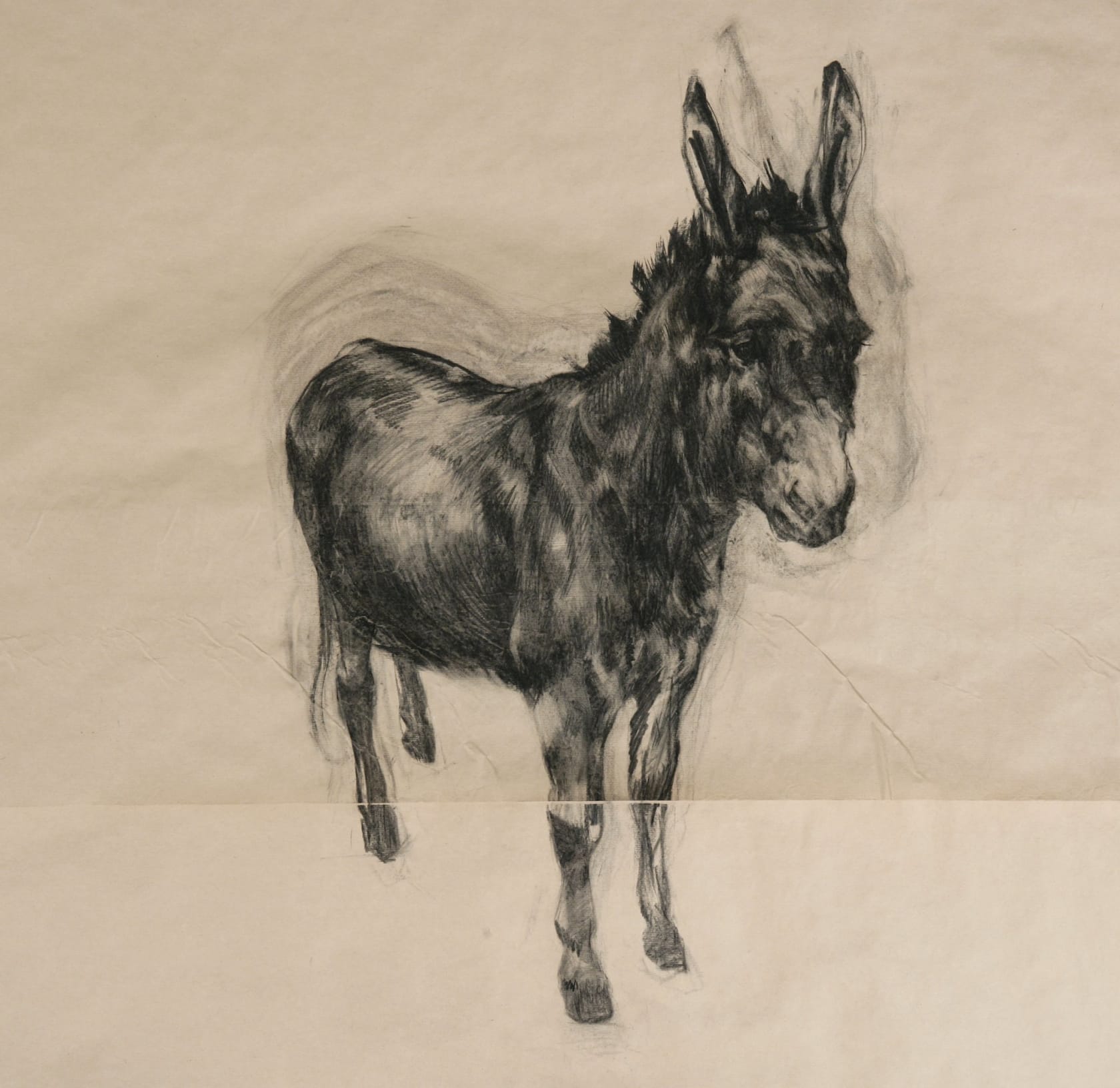 Nicola Hicks Donkey, 2005