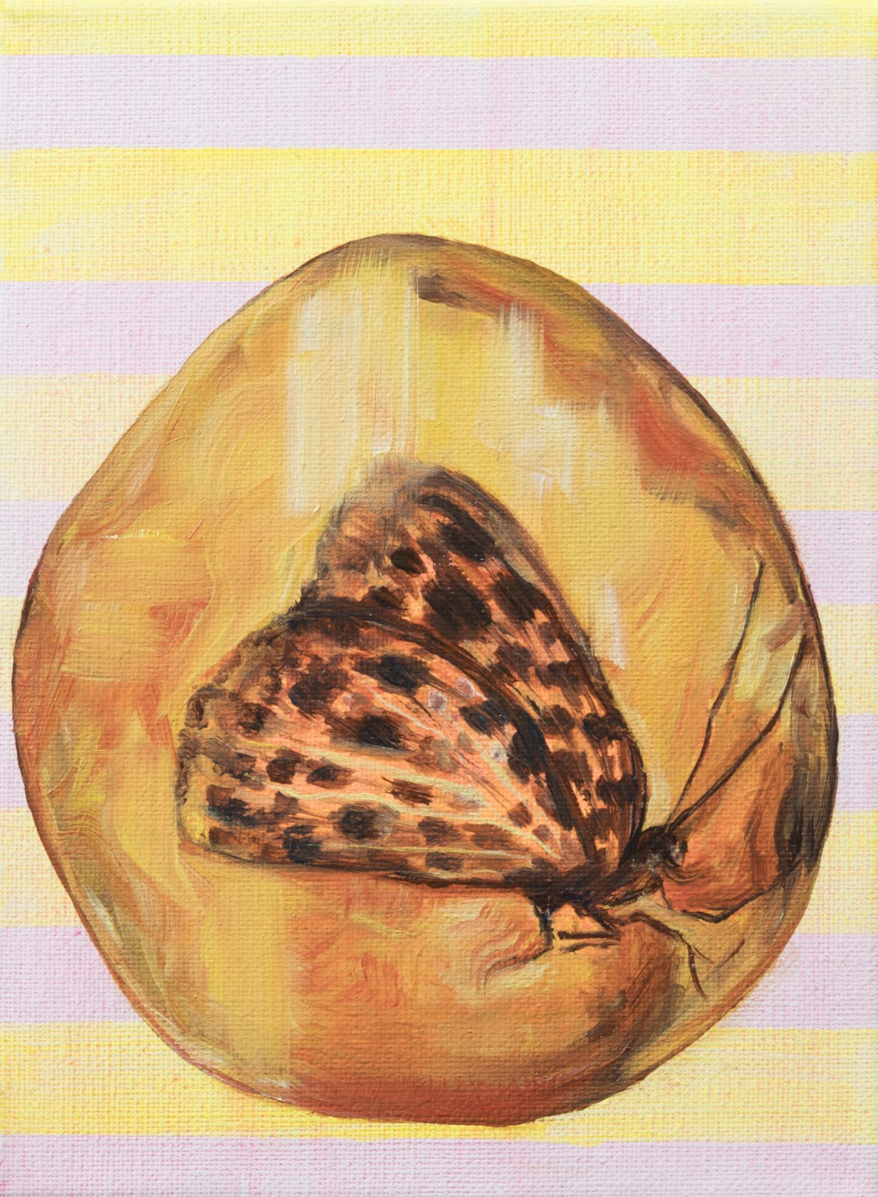 Lily Koto Olive Manifest , 2017