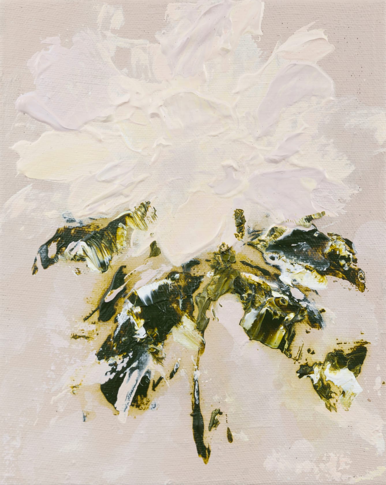 Bianca Raffaella Moonlight Rose, 2024