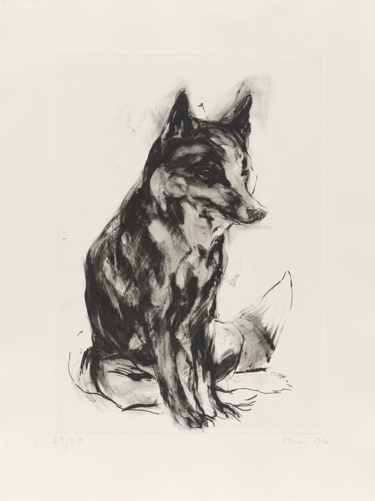 Nicola Hicks, Fox, 2006